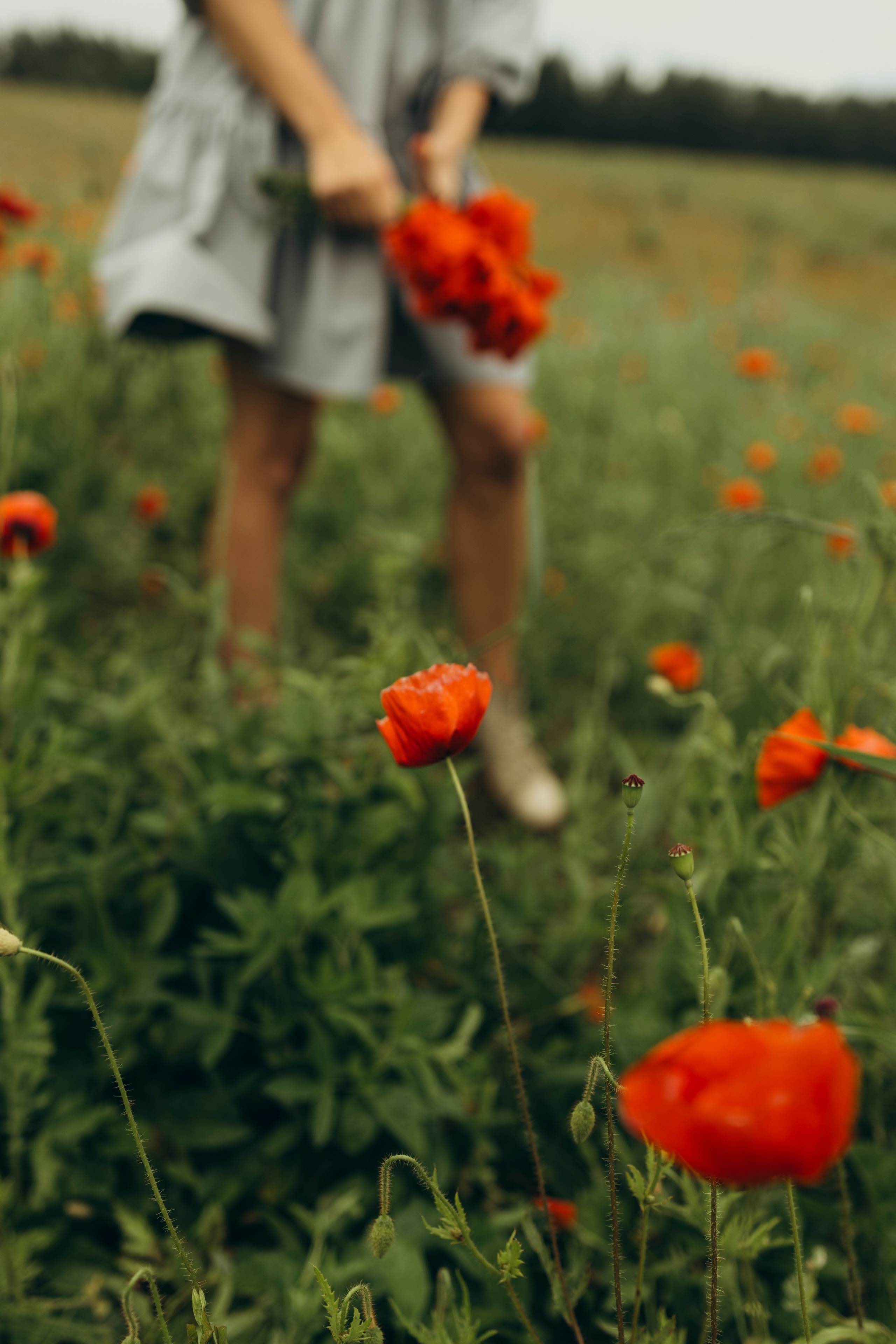 В середине лета. Семейный и детский фотограф в Санкт-Петербурге — Лаврова Ольга