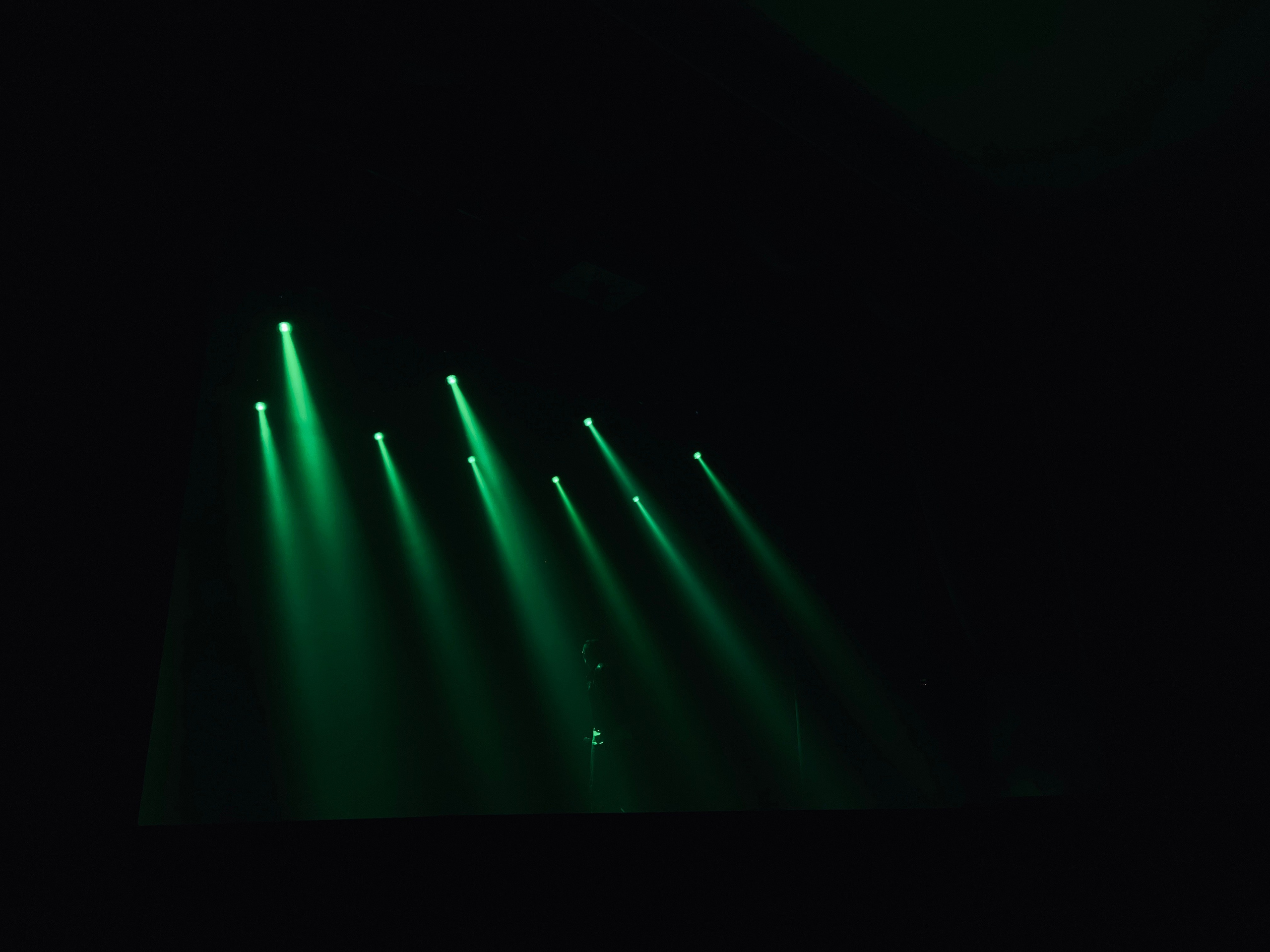 Прайс. Видеомейкер и фотограф Кэтрин.Филм