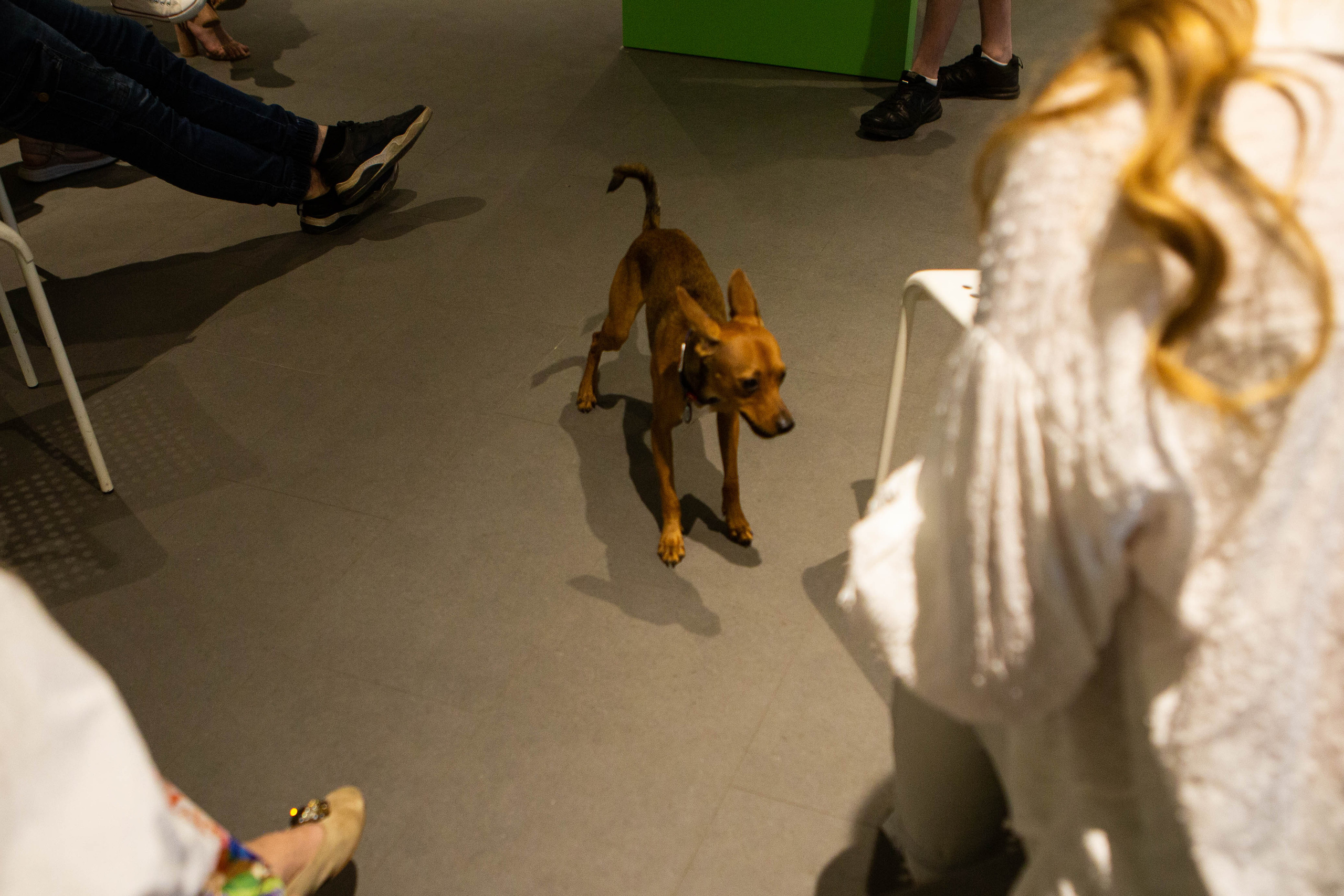 GREEN | MATES CLUB NETWORKING. Фотограф Абакумова Анастасия