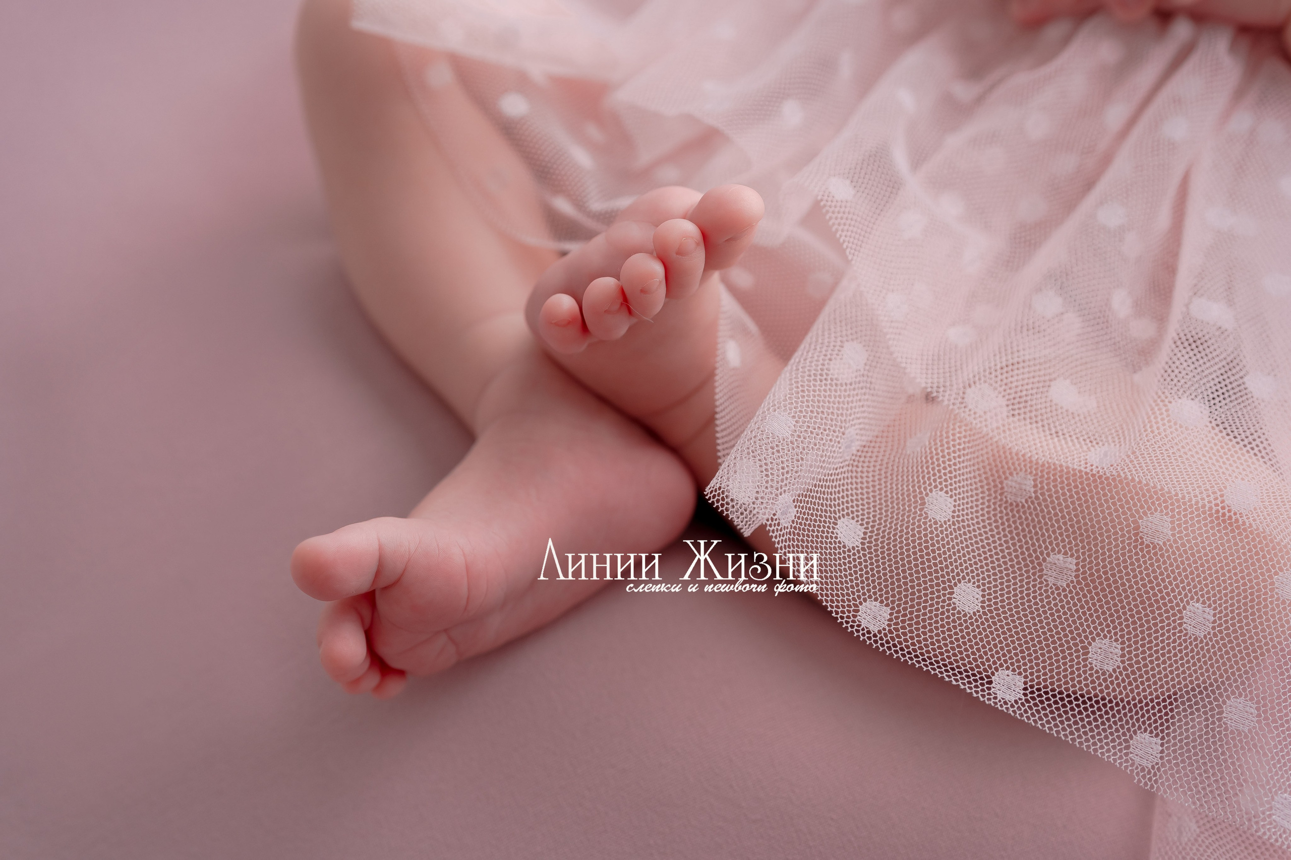 Лерочка 17 дней. Фотограф новорожденных в Нижнем Новгороде Сергеева Оксана