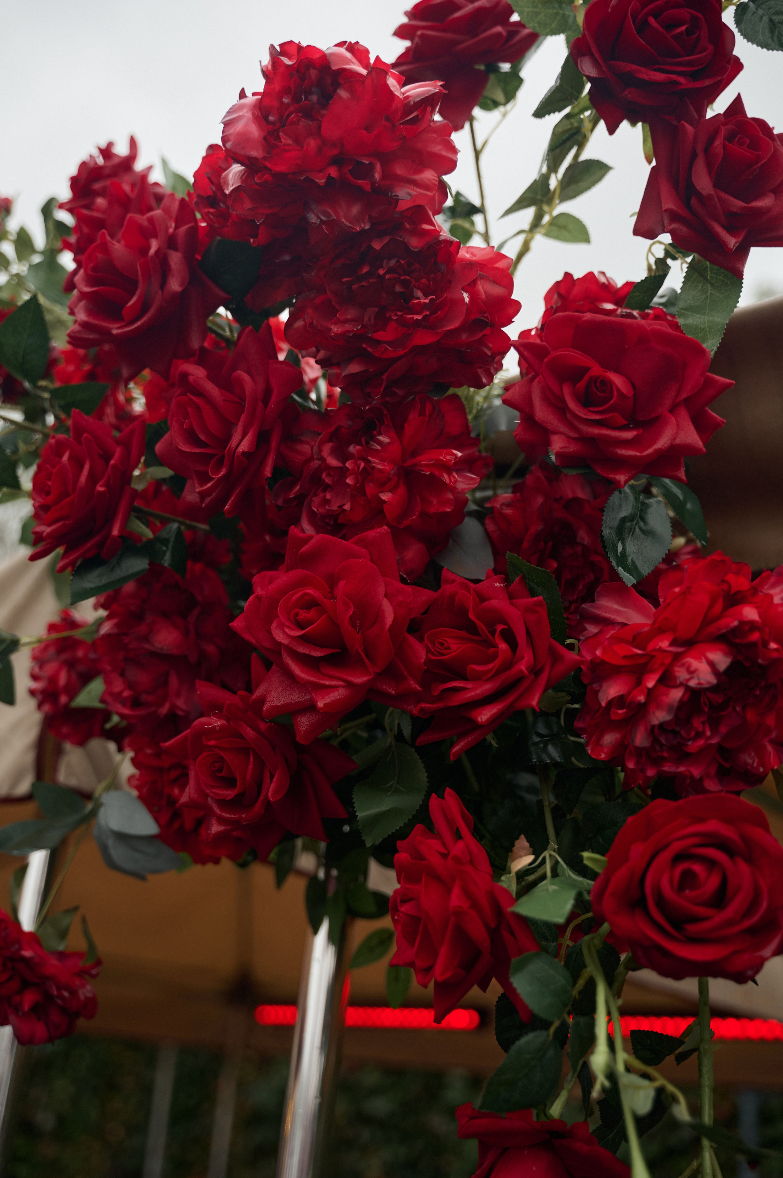 Свадьба 14.09.2024. Свадебный фотограф во Владивостоке Гарагуля Игорь