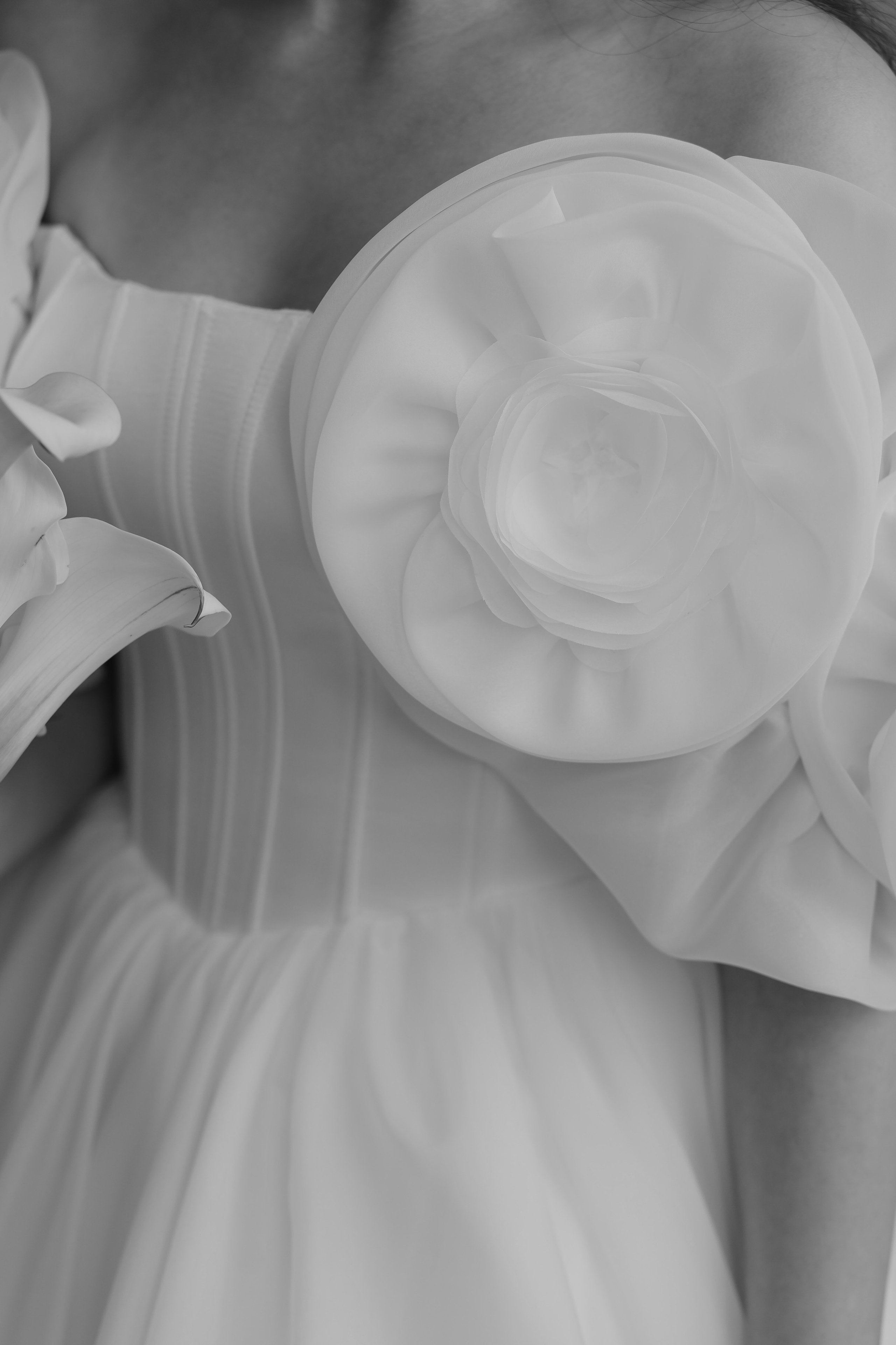 Гриша и Кристина. Свадебный фотограф Воронеж