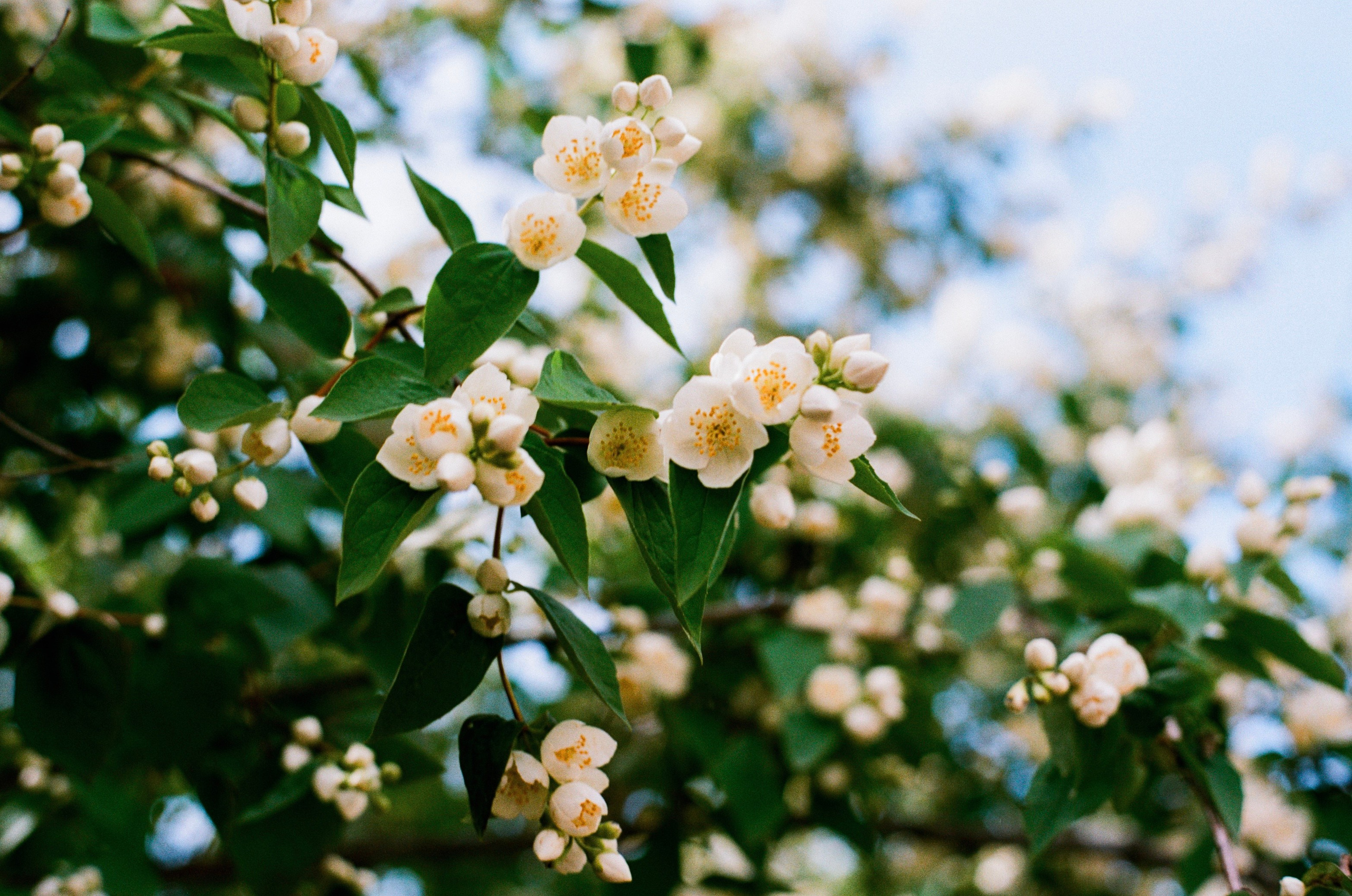 Картинки. Сандра Ковалева | ЧБ фотограф