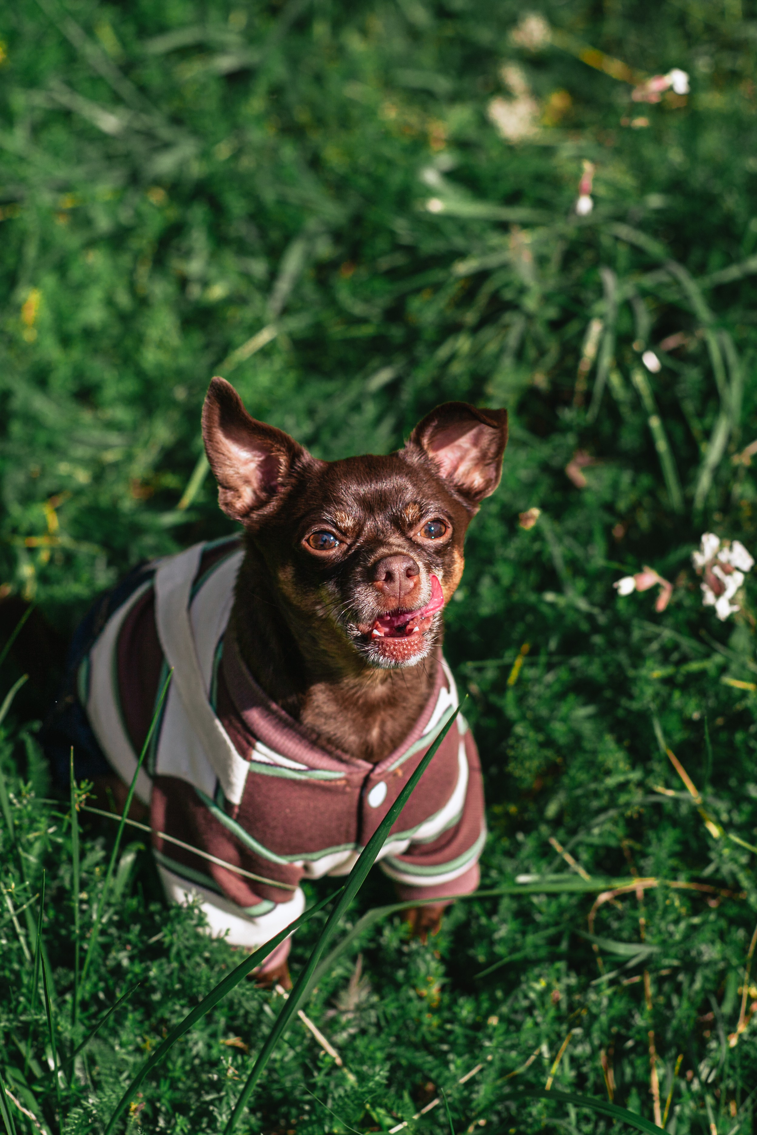 Восточный мост. Фотограф-анималист Татьяна Степанова
