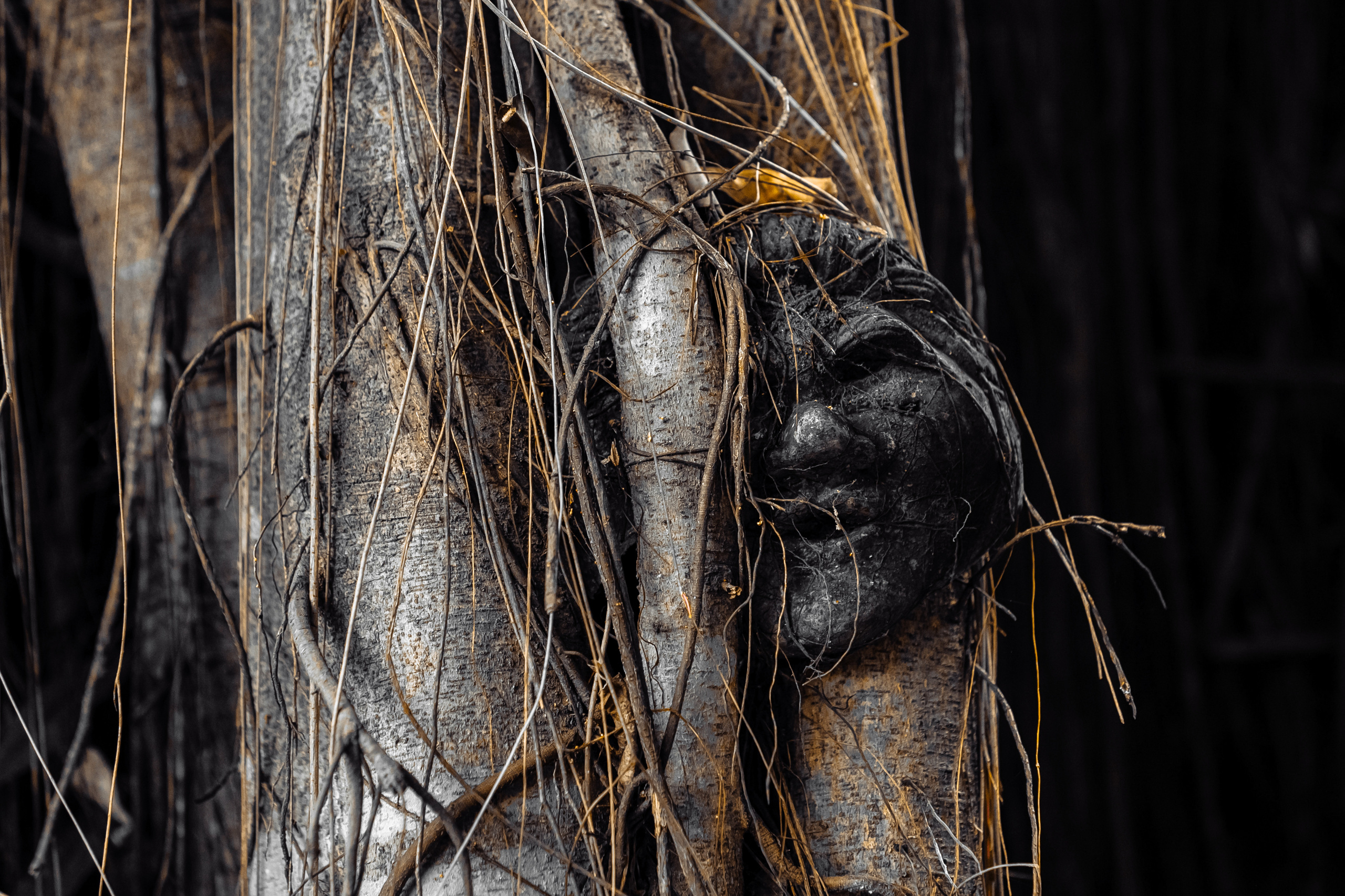 ПУТЕШЕСТВИЯ. ARTEMIY IGNATOV