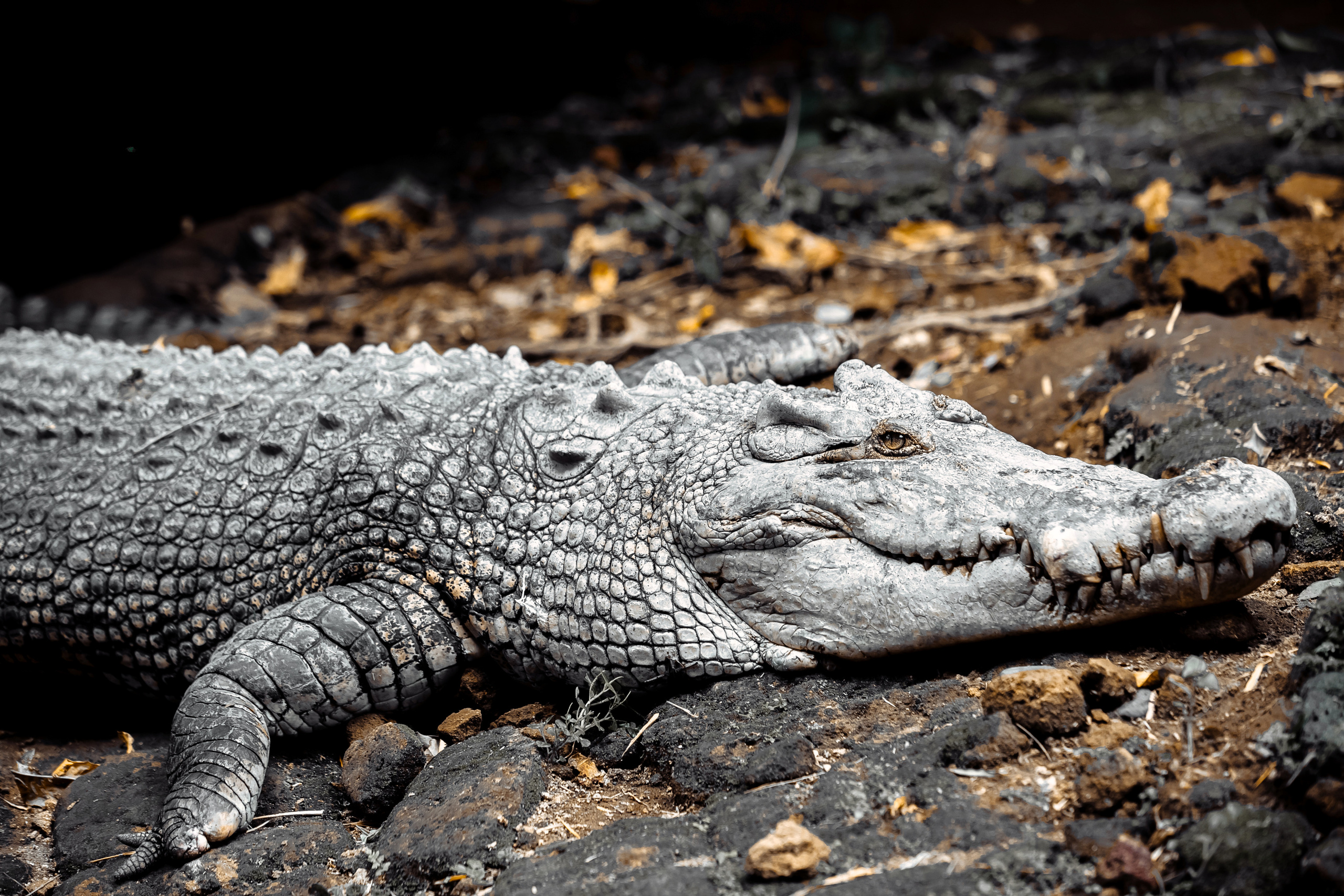 ПУТЕШЕСТВИЯ. ARTEMIY IGNATOV