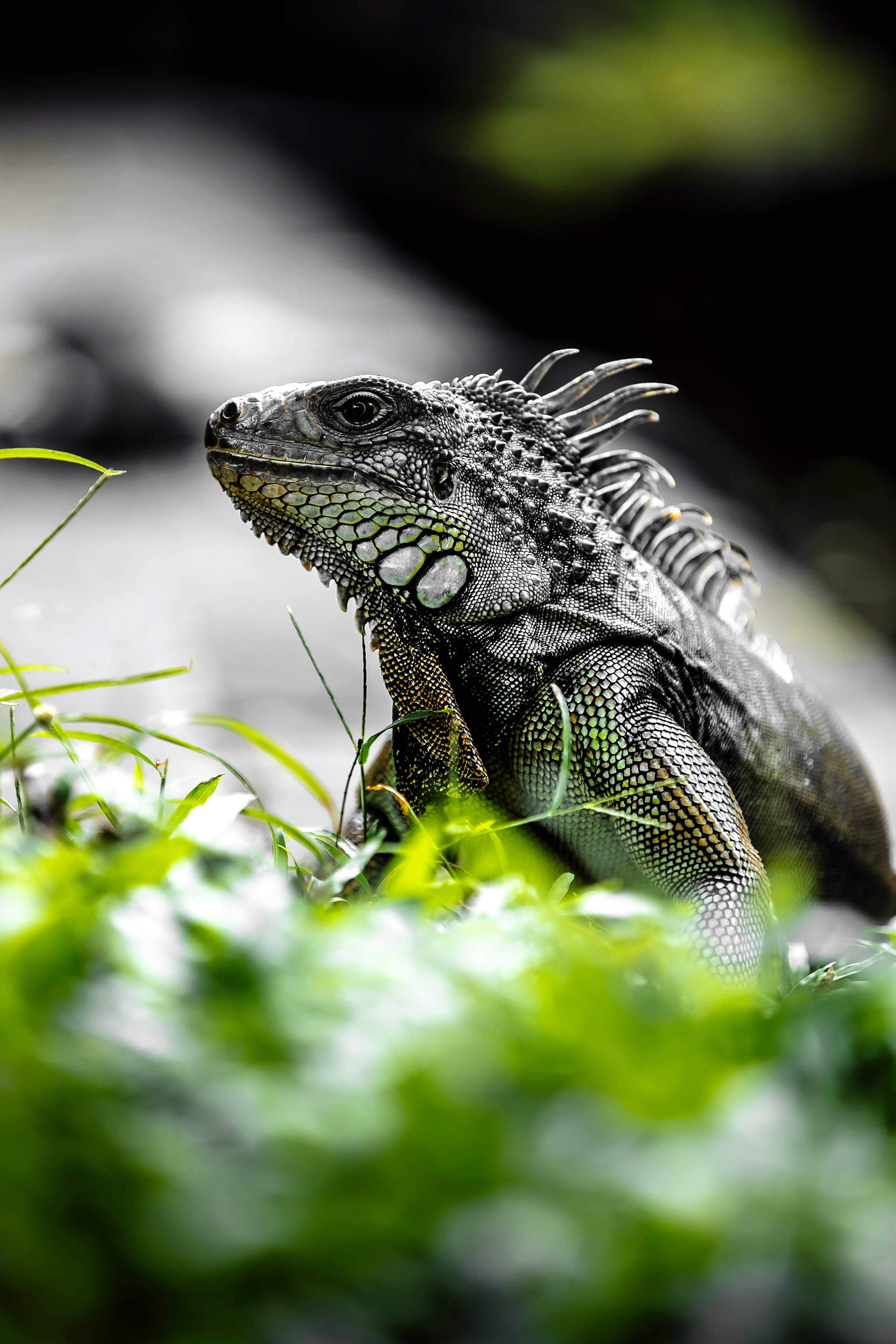 ПУТЕШЕСТВИЯ. ARTEMIY IGNATOV