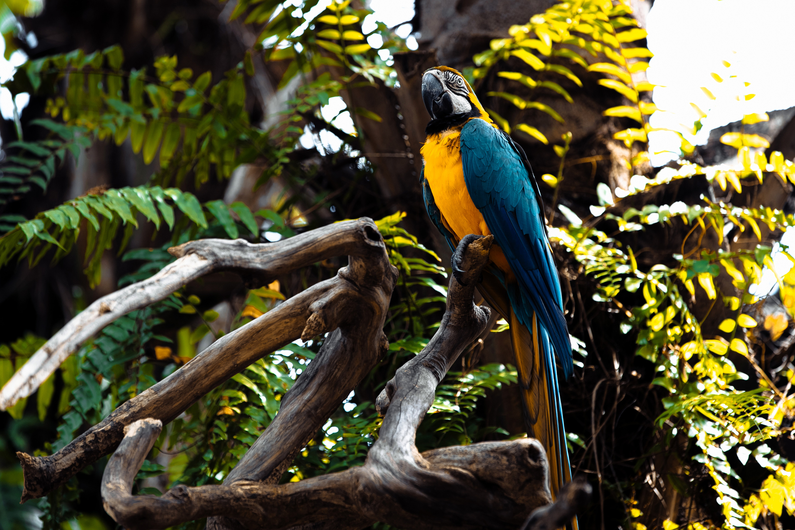 ПУТЕШЕСТВИЯ. ARTEMIY IGNATOV