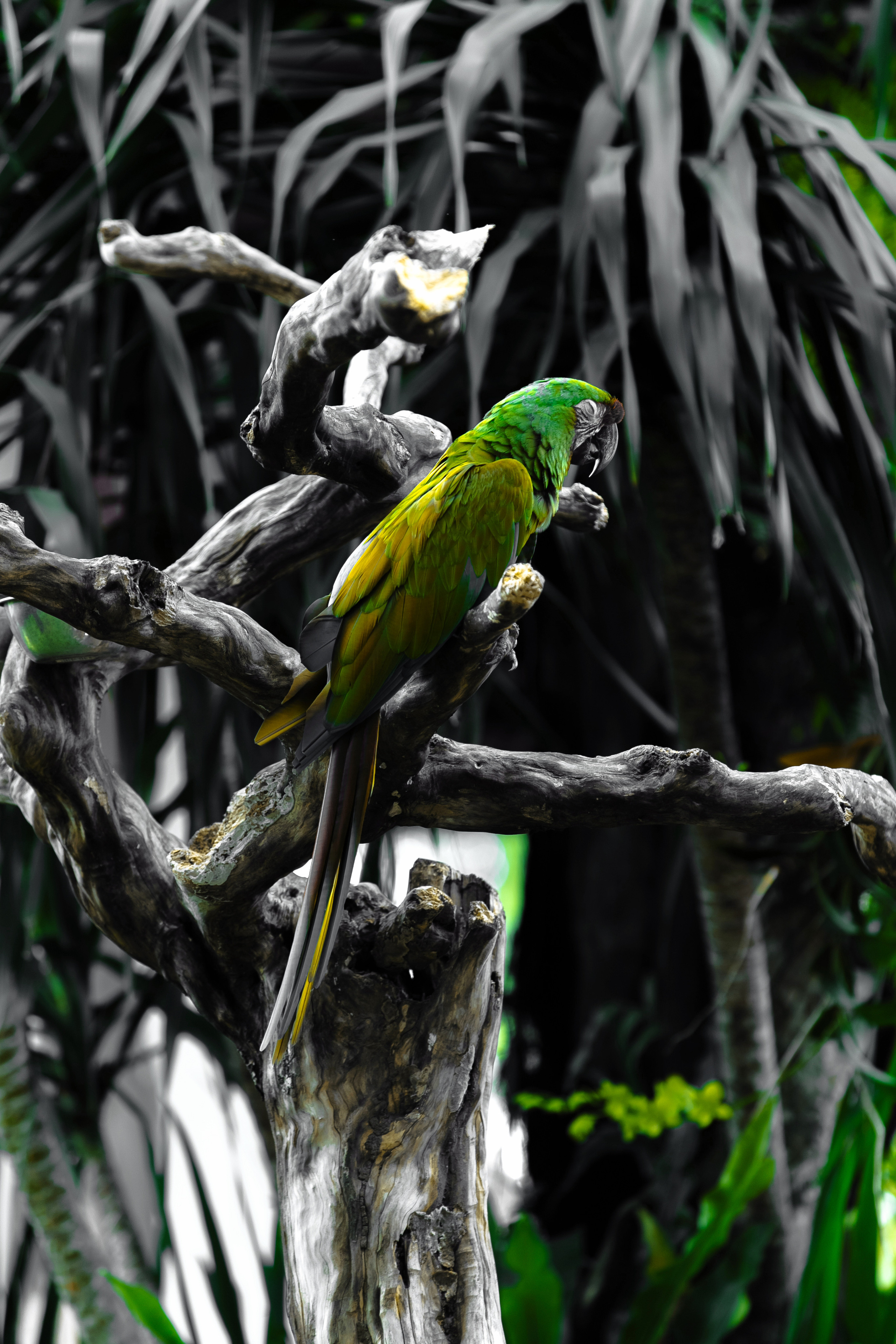 ПУТЕШЕСТВИЯ. ARTEMIY IGNATOV