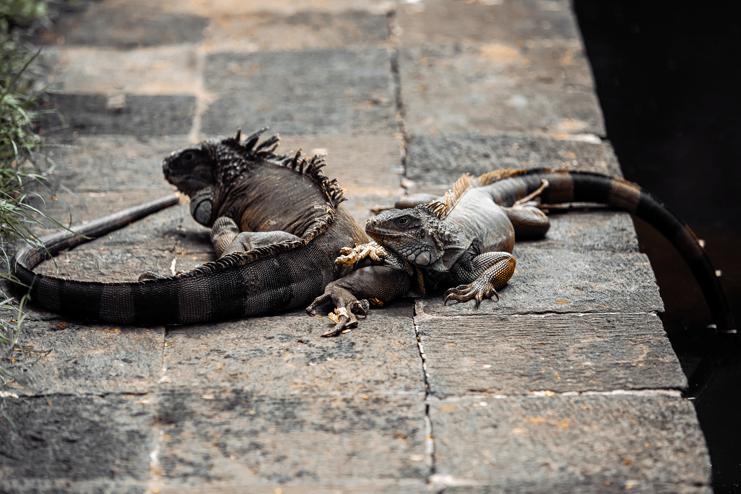 ПУТЕШЕСТВИЯ. ARTEMIY IGNATOV