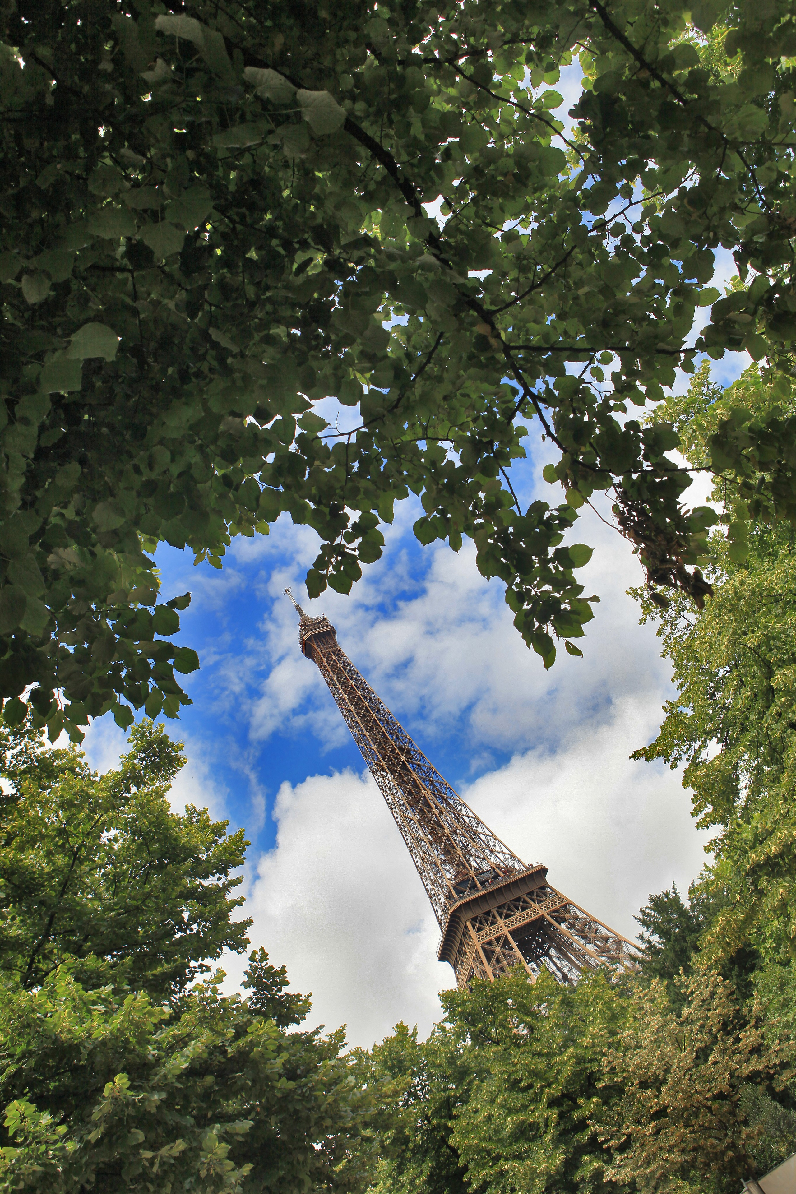 Париж. Фотография, ретушь, сканирование, восстановление старых фото, интерьерная съёмка, студия. Данилов Александр, Москва