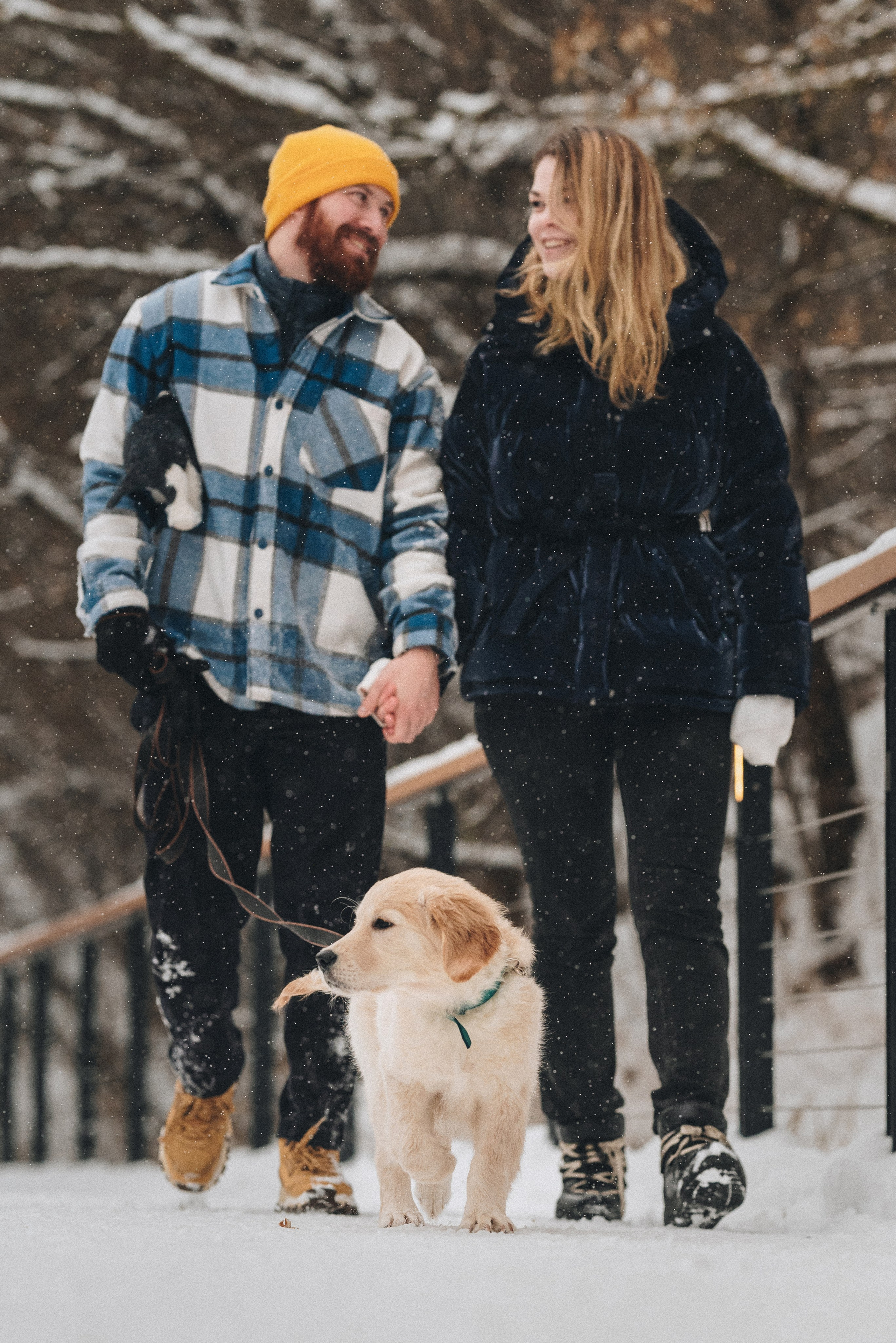 Sonia, Denis & Baggi. Natalia Finch Photography — Family, Kids & Pet Photographer in Chicago, IL