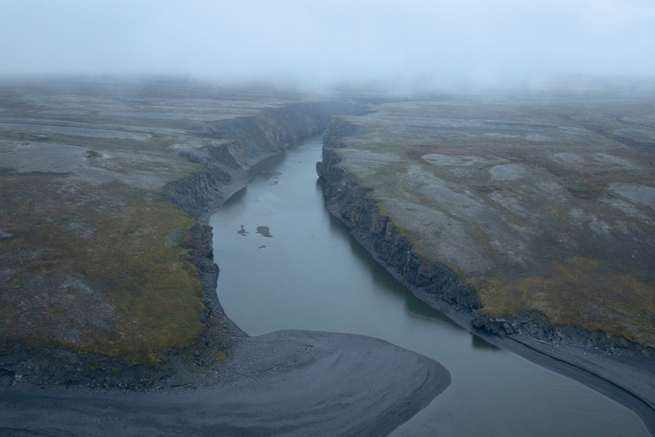 Арктика. Andrew Gusarov Nature Photography
