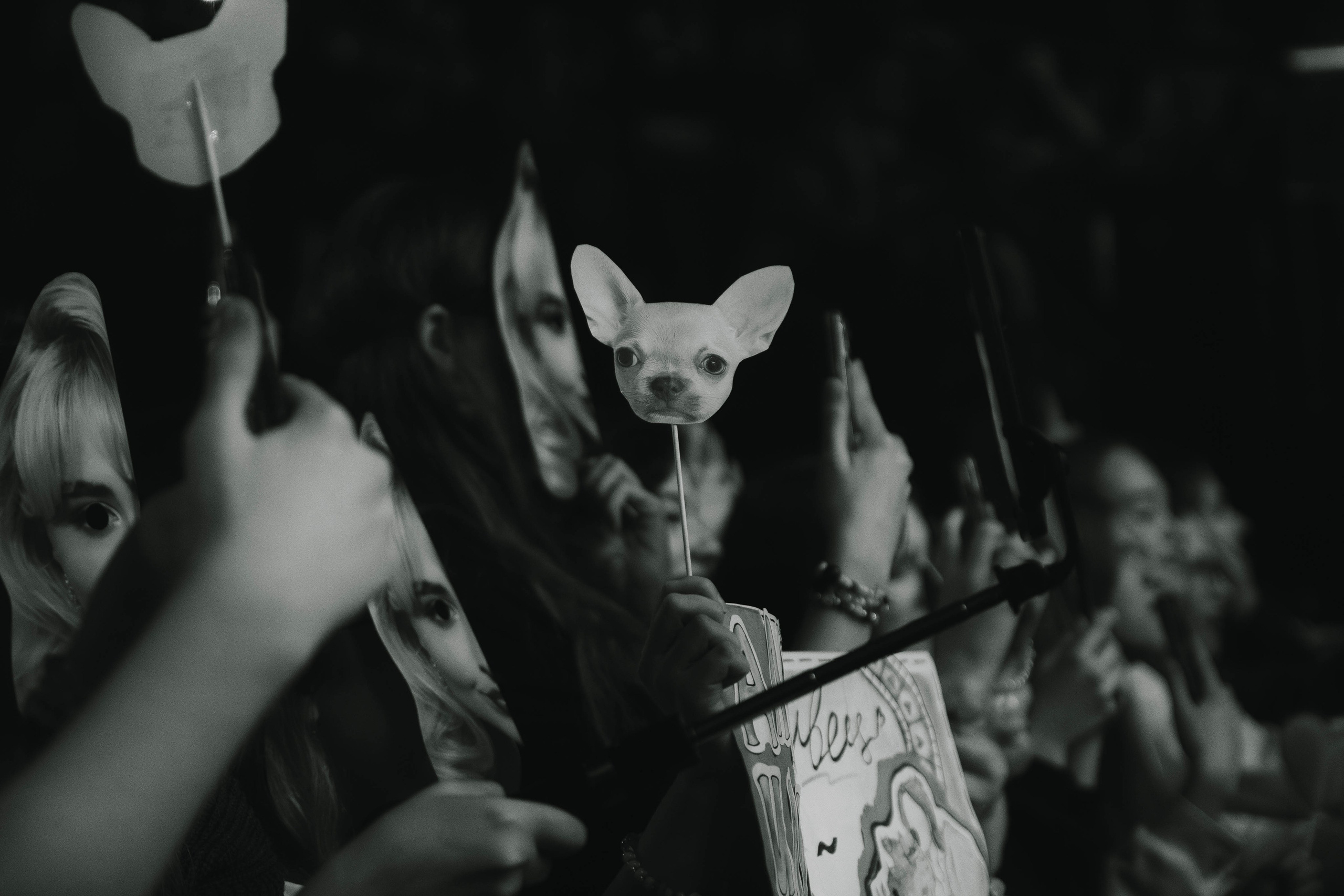 Алёна Швец | Aurora