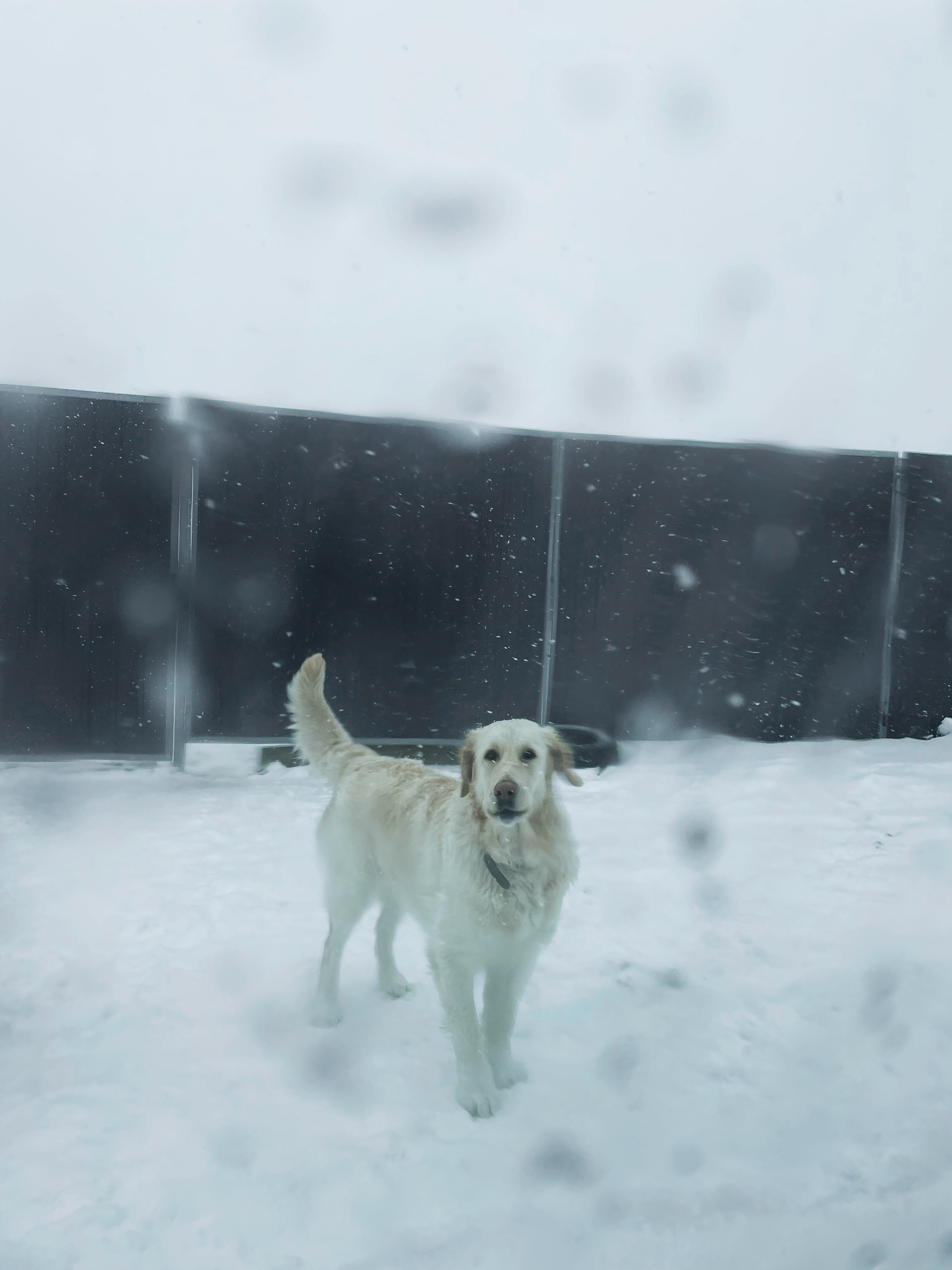 Открытка 10х15см, 200р 