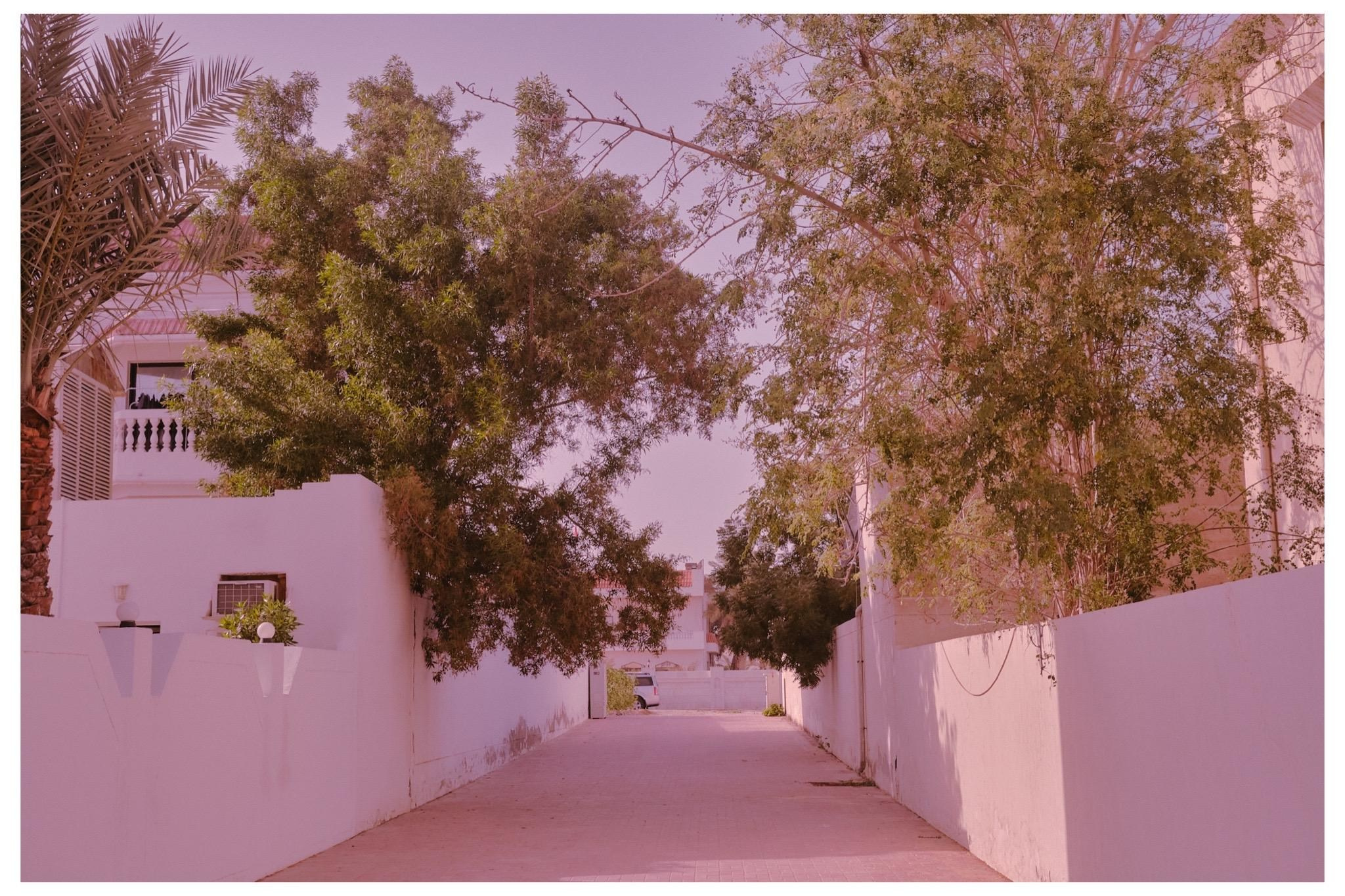 BOXES. Berman Euginia