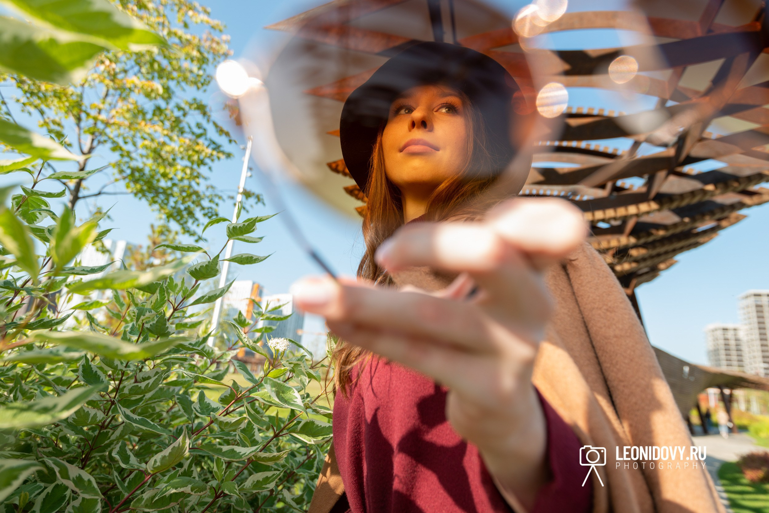 Тюфелева роща