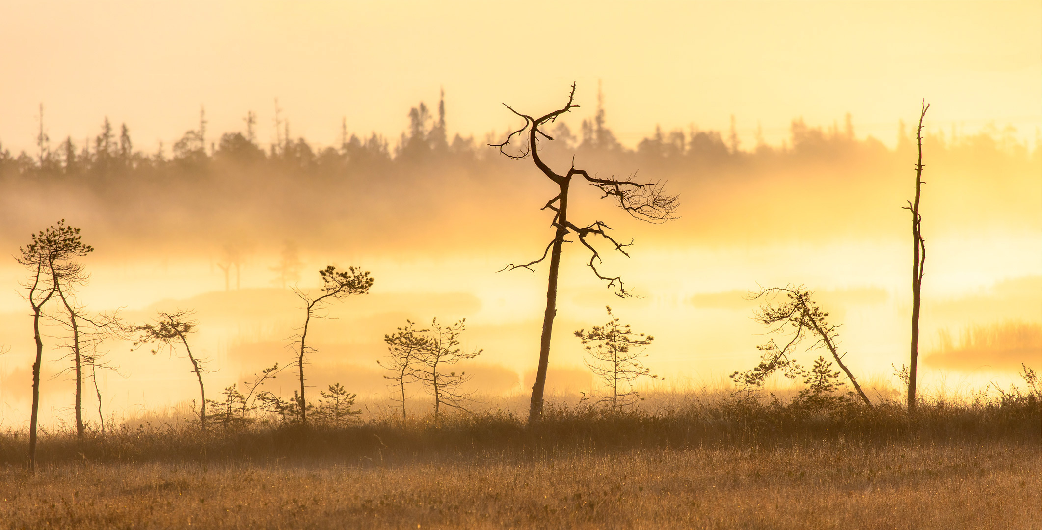 Полигональные озёра, Хибины. Yuri Ovchinnikov Photography, St. Petersburg, landscape photography