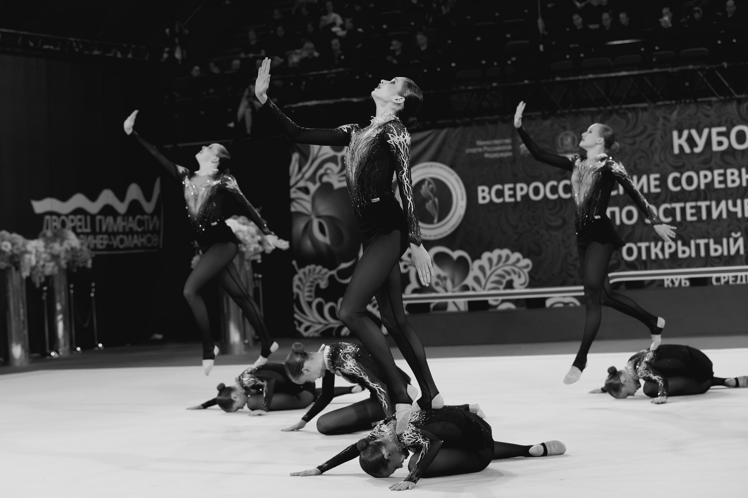 Кубок России по эстетической гимнастике 2025. Москва. Спортивный фотограф Александр Васильев. RG и AGG