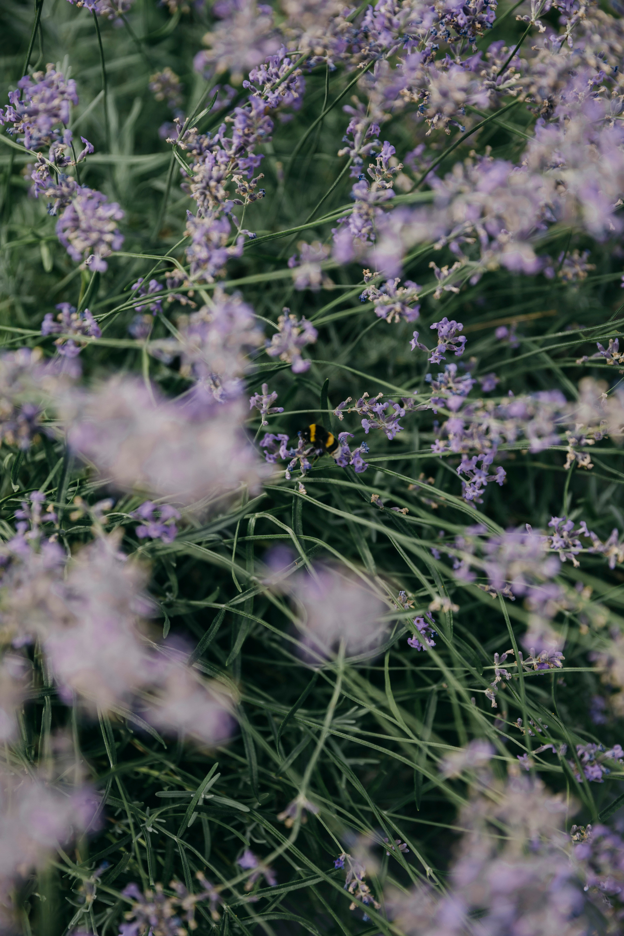 Таинство Крещения в Церкви апостола Иакова Заведеева в Казённой слобод. Свадебный фотограф в Москве Екатерина Гусева