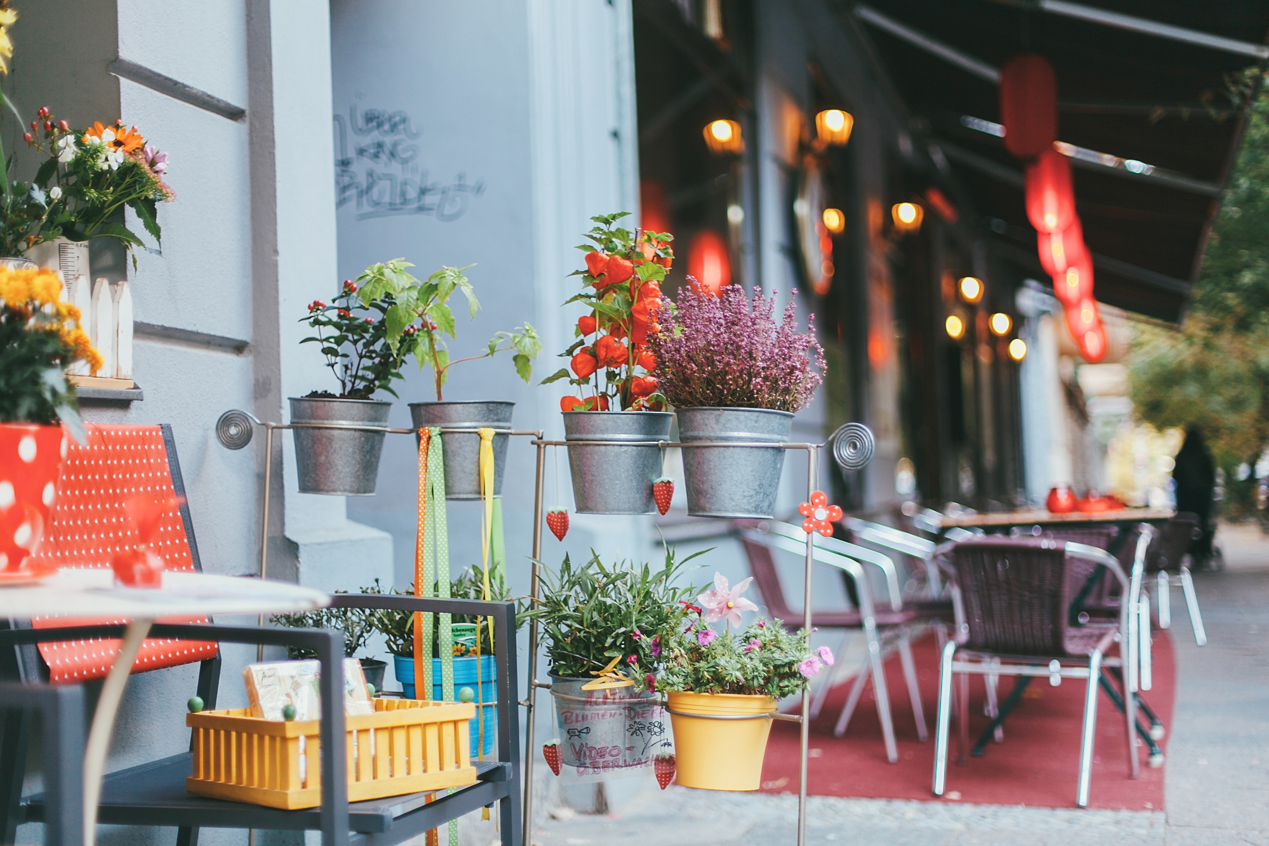 Берлин. Аня Степанова