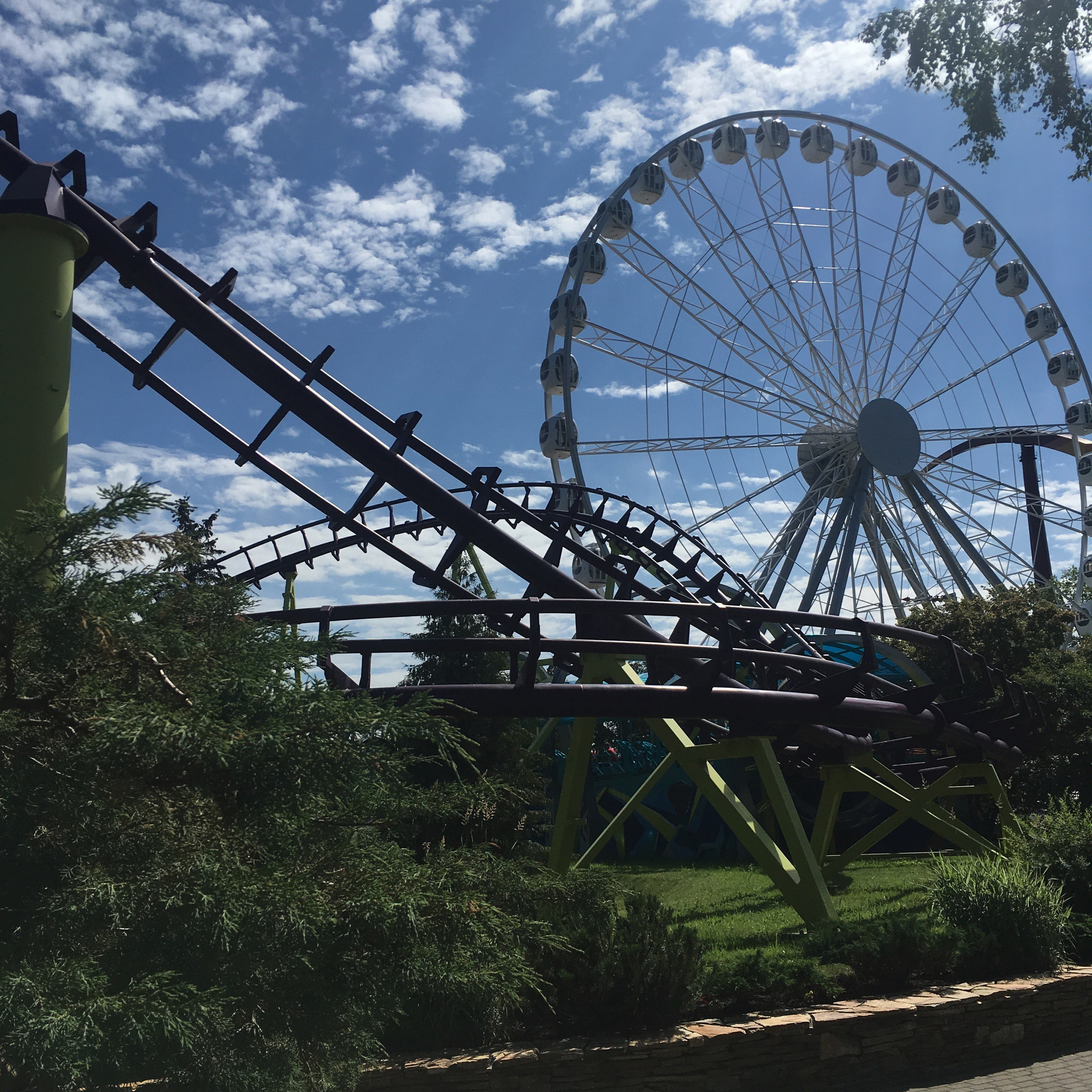 Дивоостров -19. Своя Мастерская