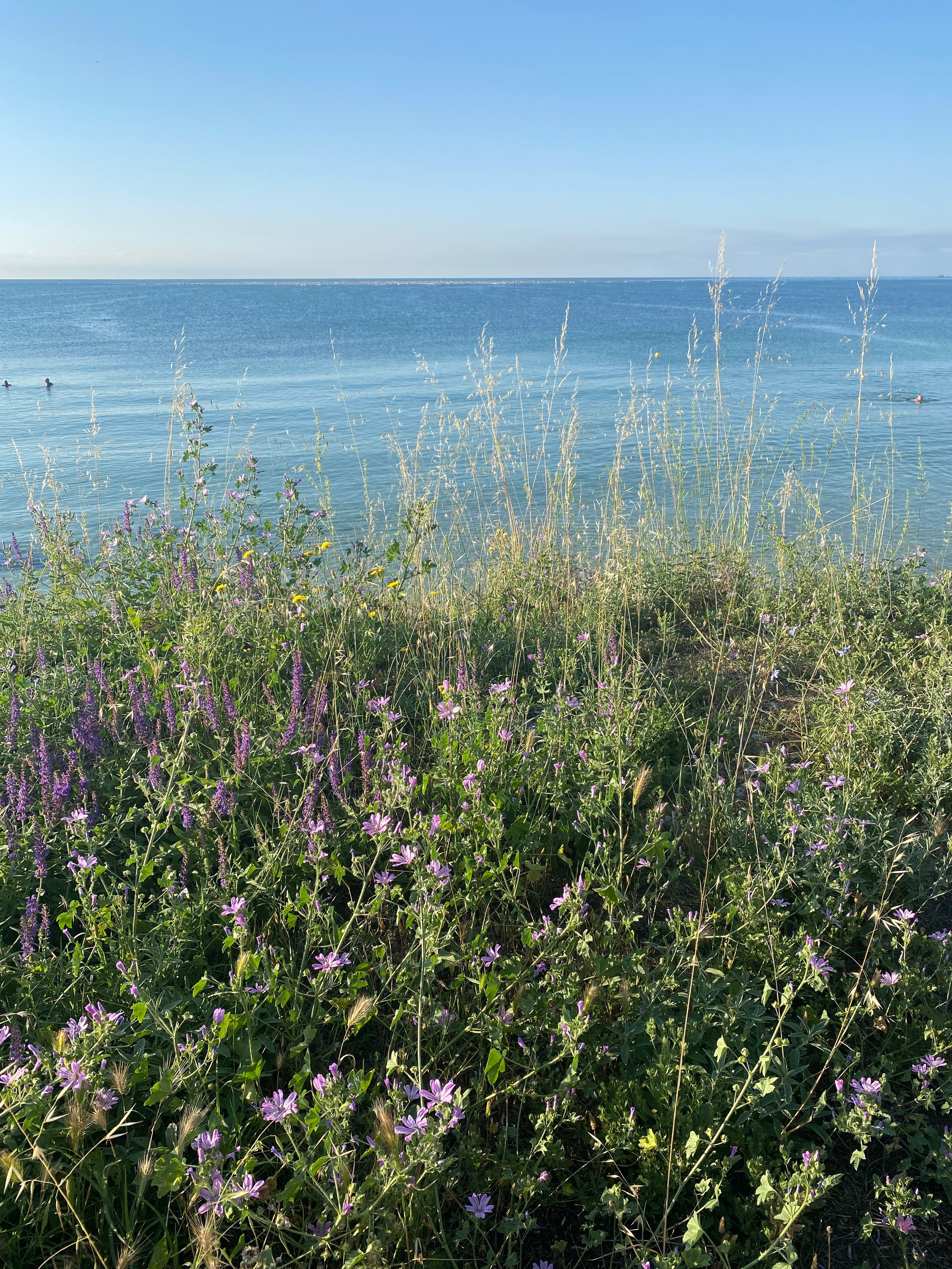 Равда, Несебр — 21. Своя Мастерская