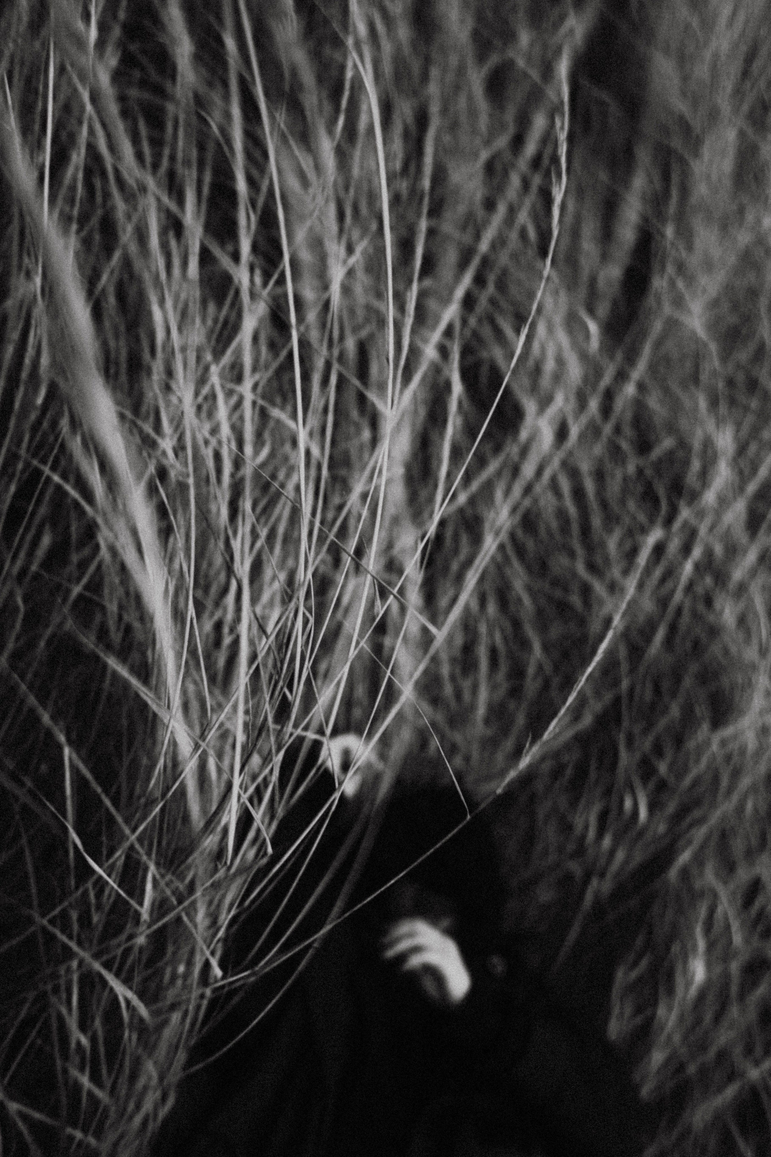 Хтонь дождливая. Фотограф в Нижнем Новгороде