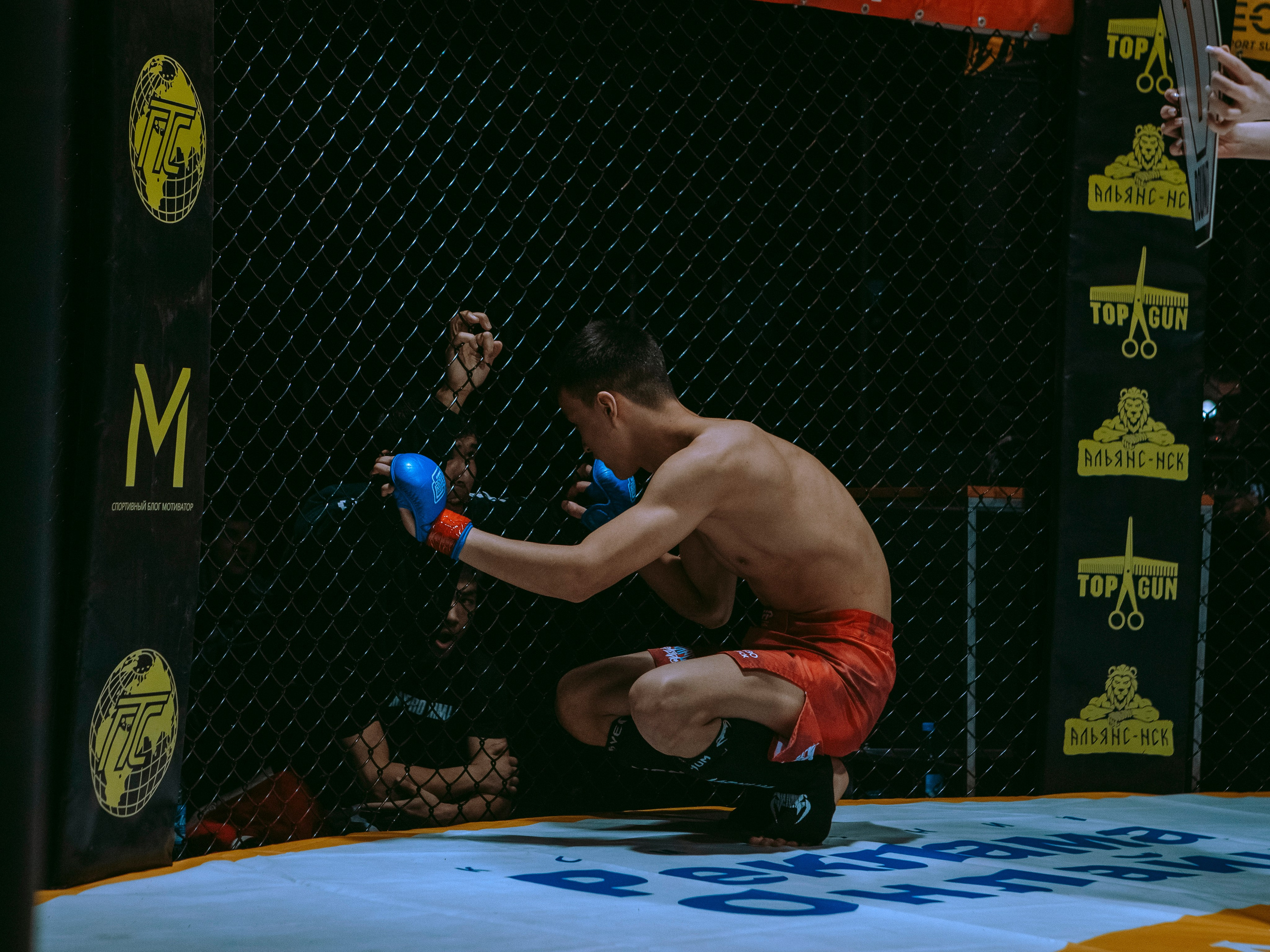 SFL 17 | Siberian Fighting League. Портретный фотограф в Москве Дарья Цезария