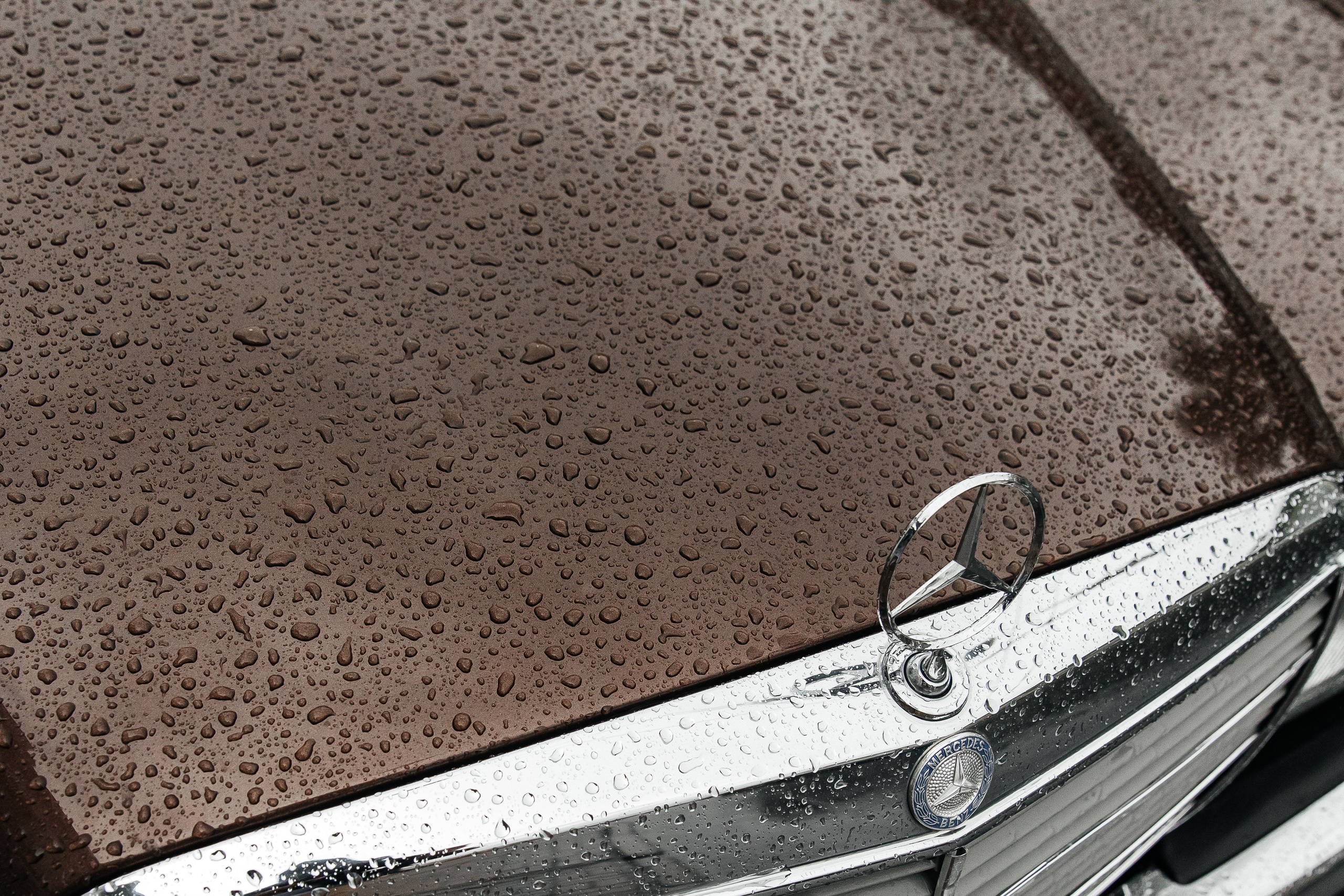 Даниил и Дария. Фотограф Ян Ежов | Свадебный фотограф в Томске