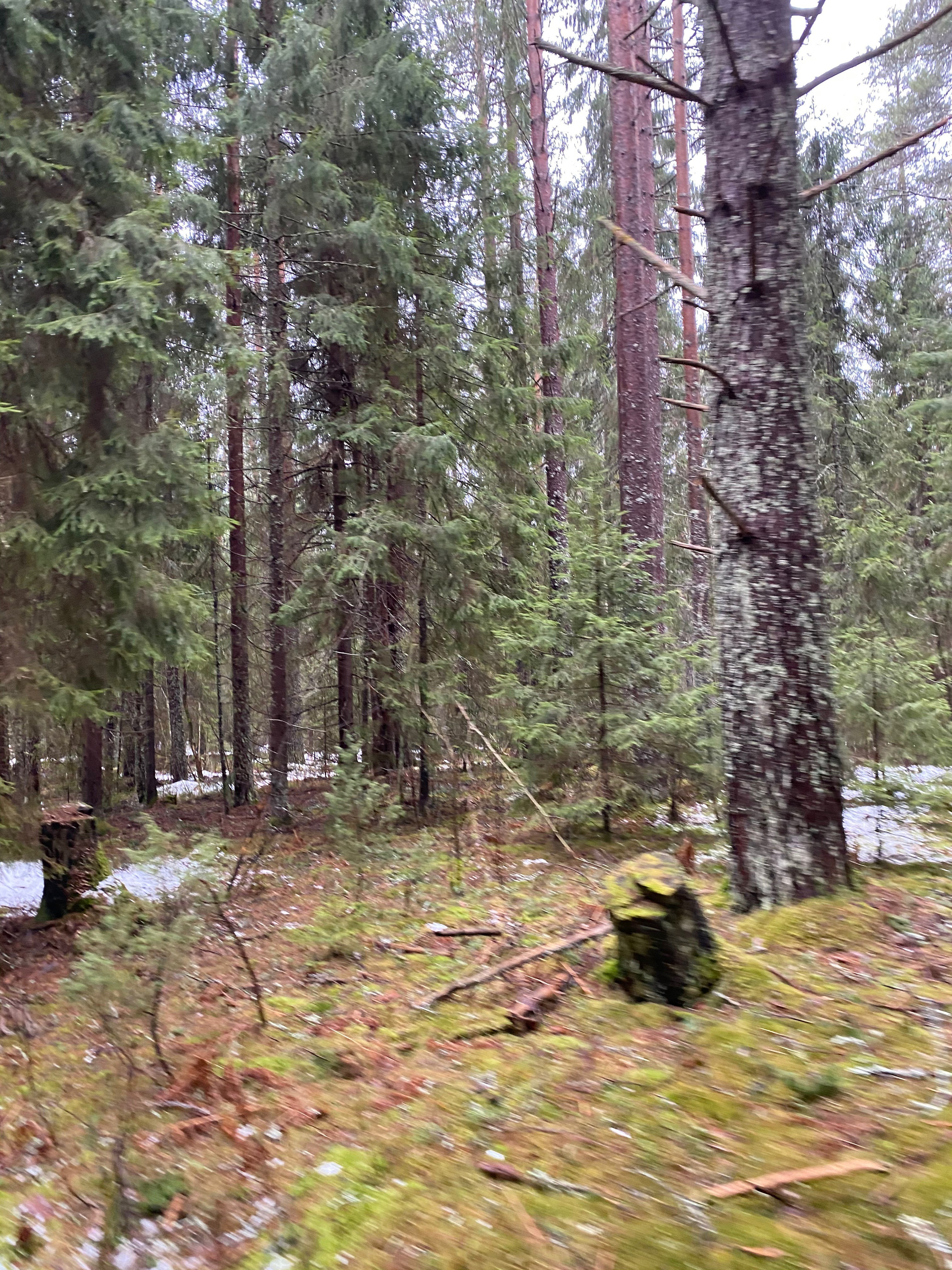 Вокруг Селигера-20. Своя Мастерская