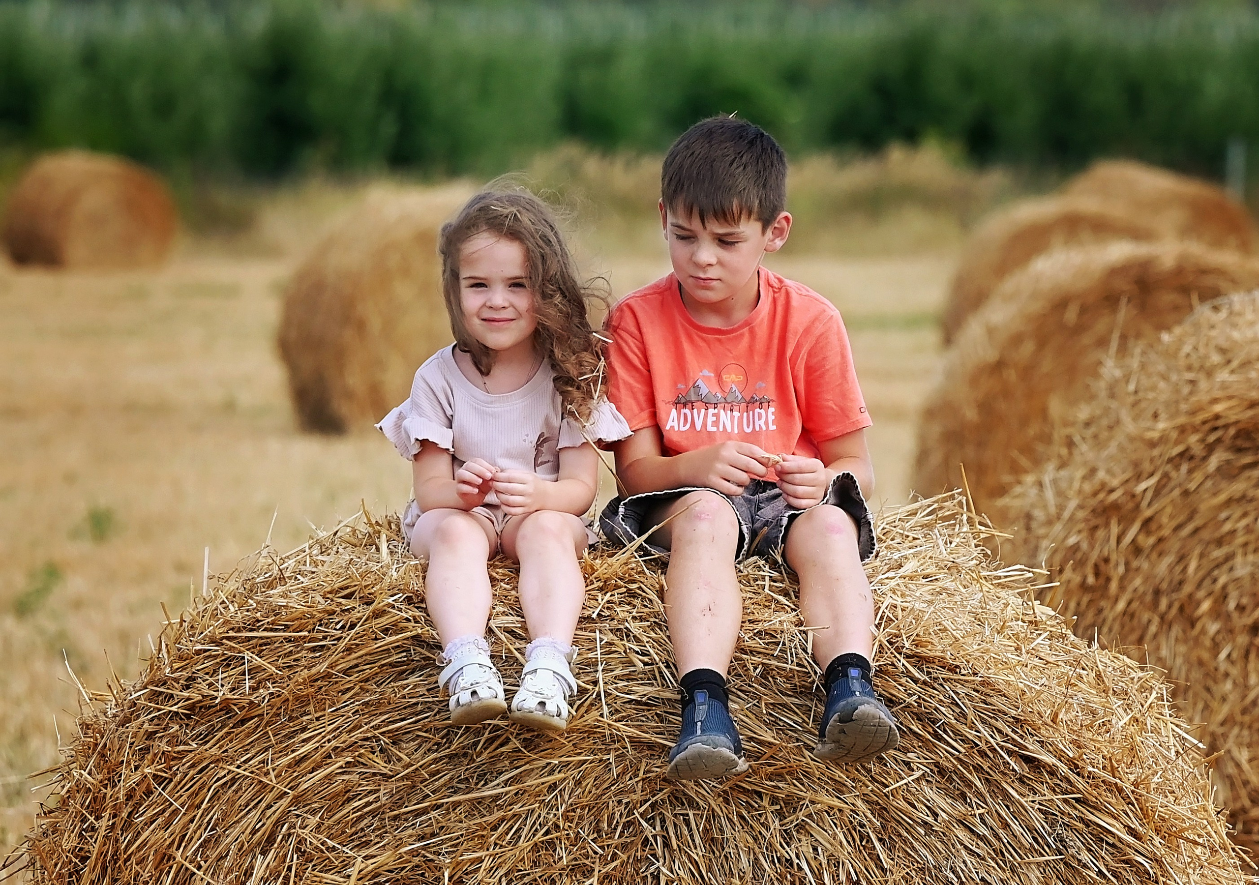 Сено. Главная