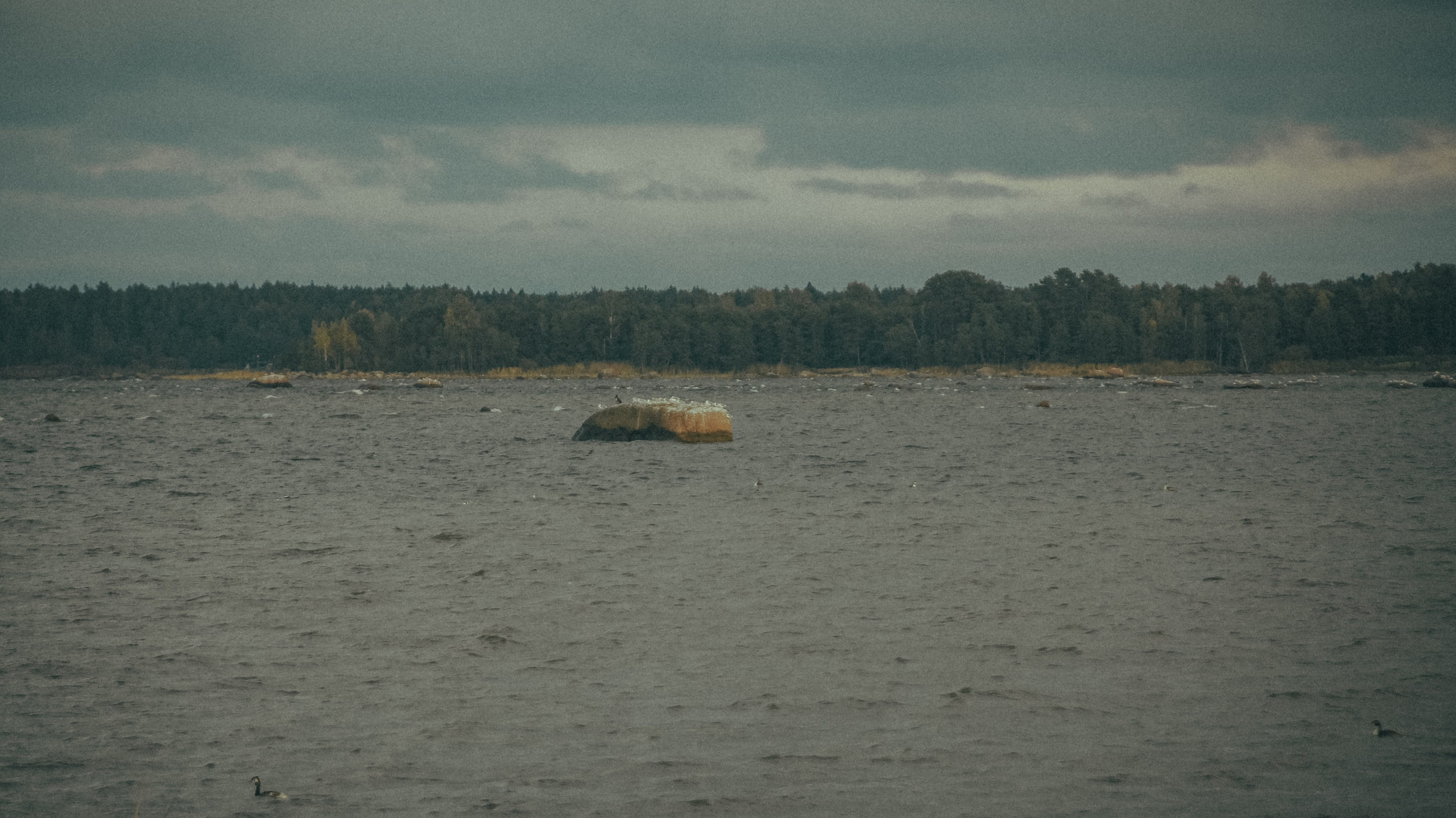 Андерсонград. Портретный фотограф DanilNabody