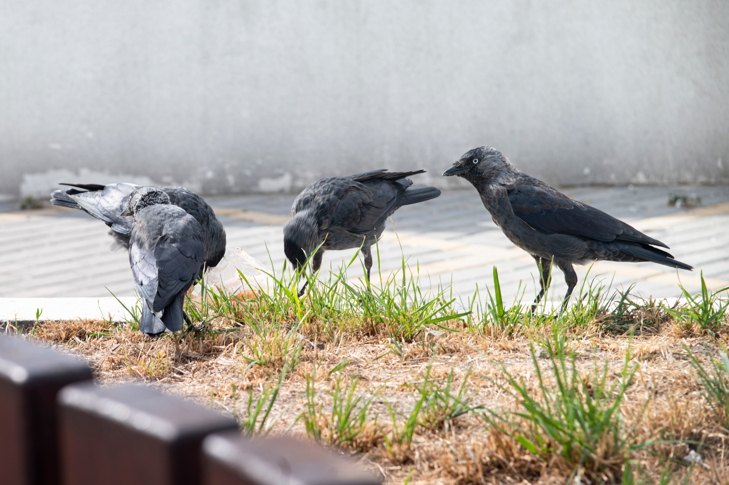 Муром. Сентябрь 2022. Фотограф Роман Адлер