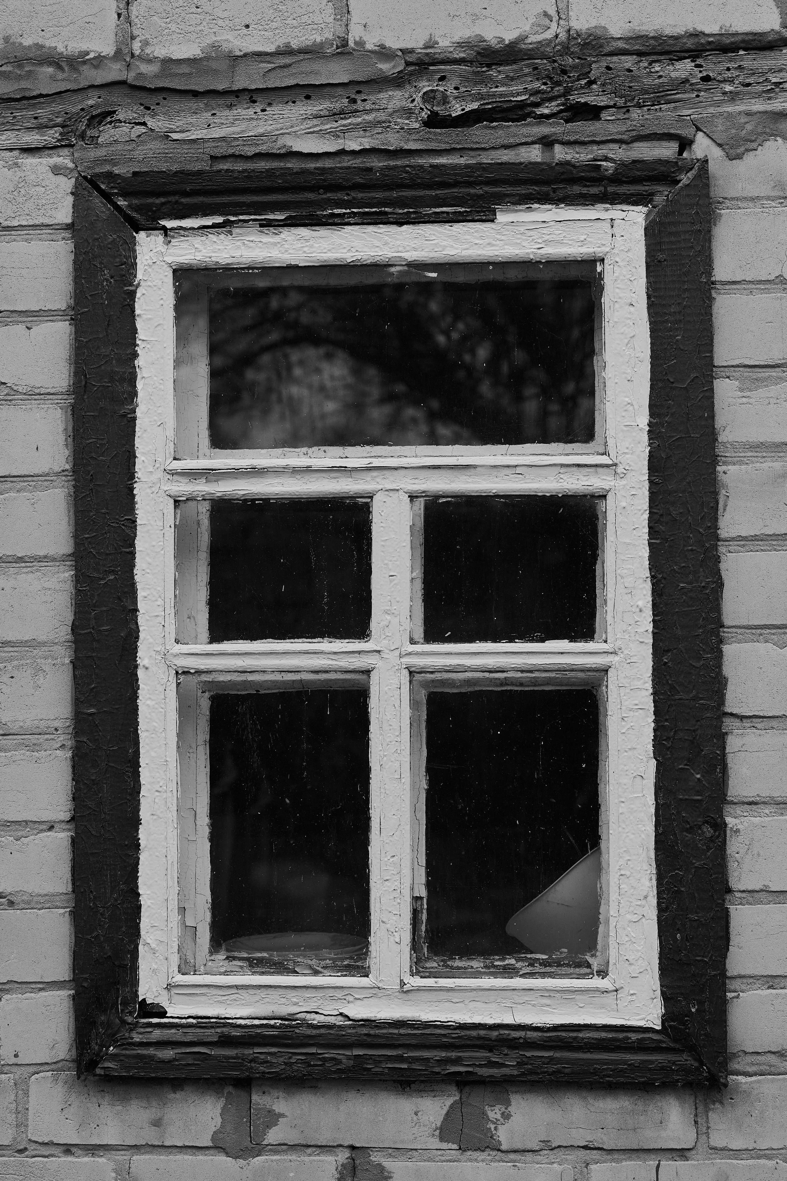 Краснореченское (Луганская область). Ноябрь 2024. Фотограф Роман Адлер