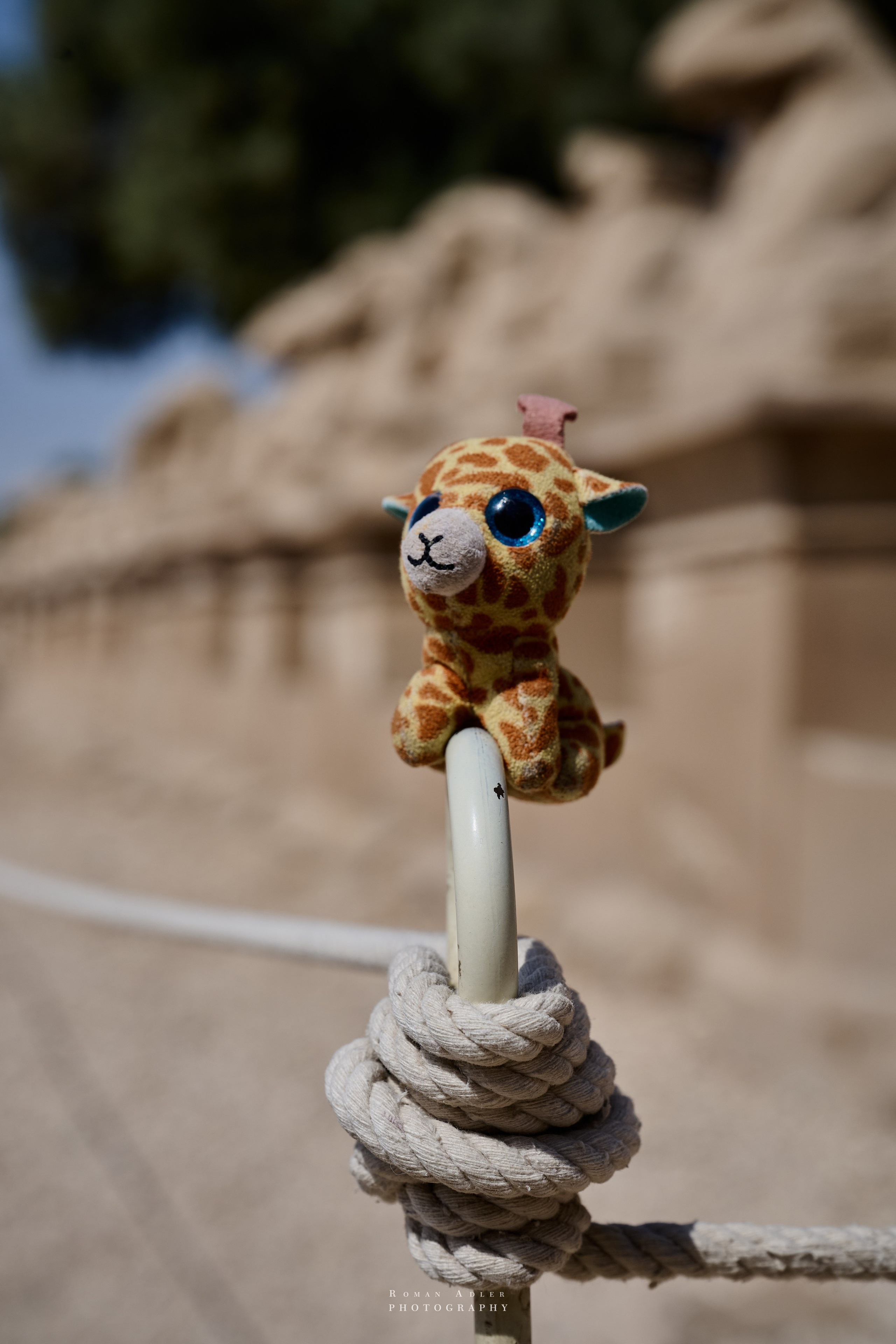 Луксор. Февраль 2025. Фотограф Роман Адлер