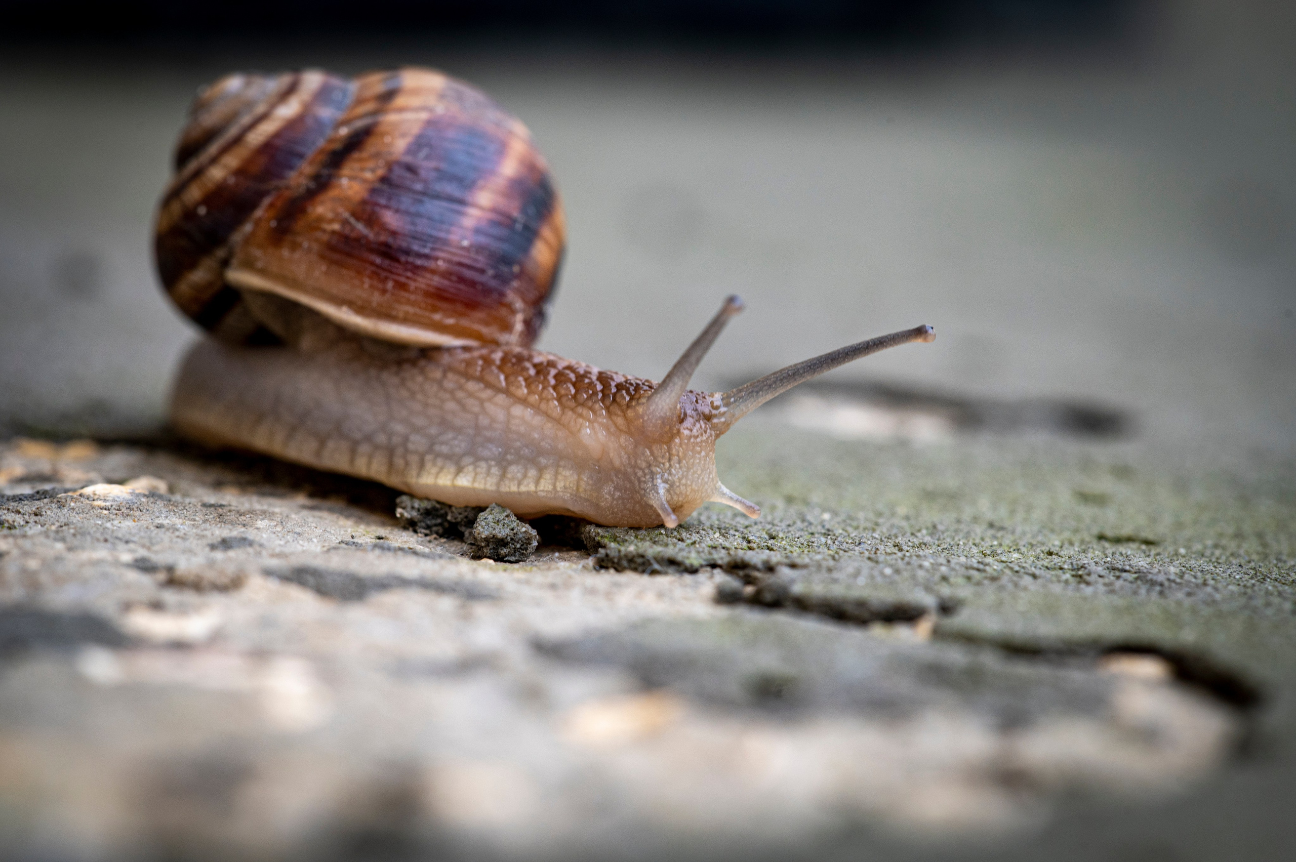 Крым май 2022. Фотограф Роман Адлер