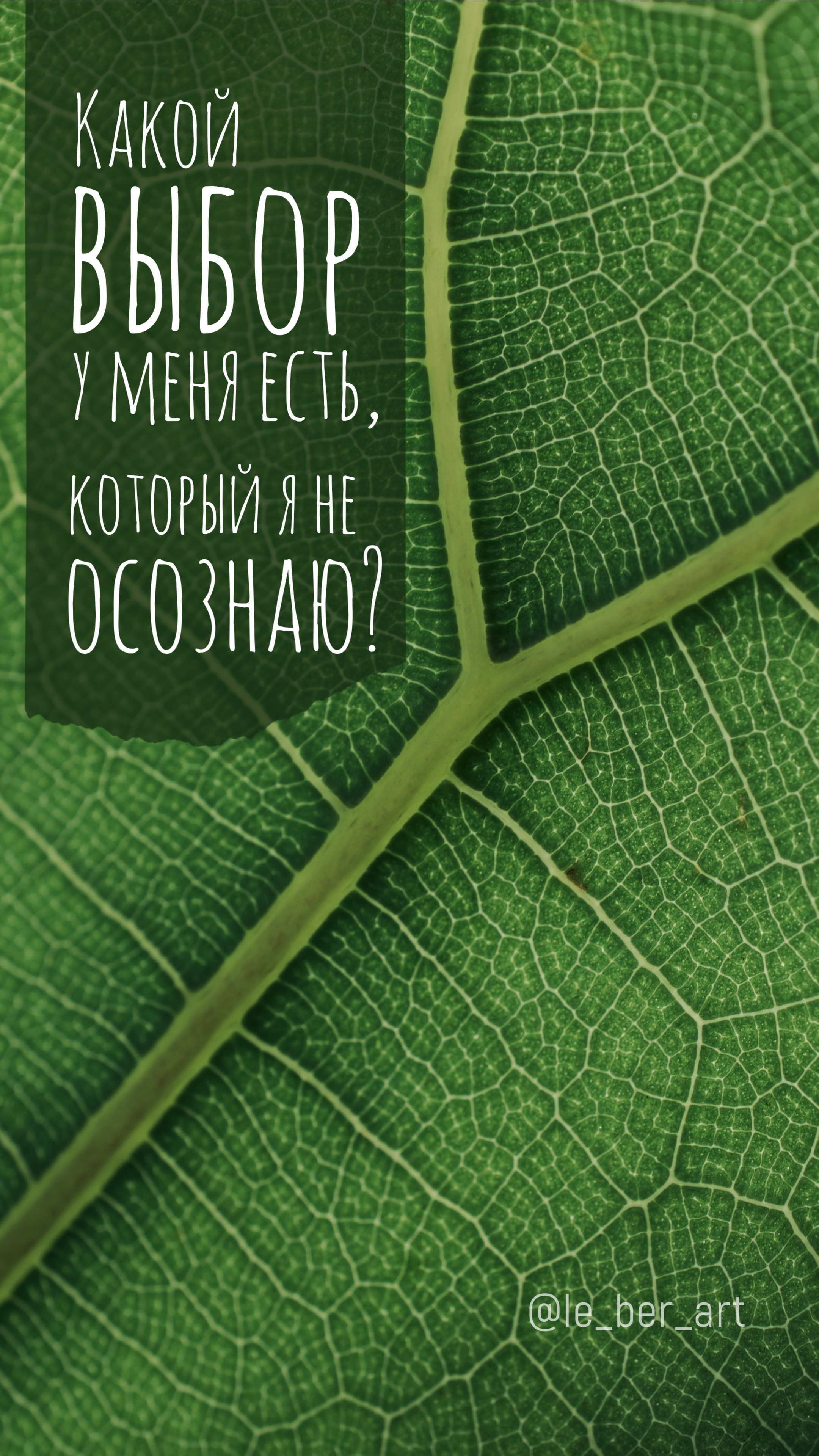 Заставки на телефон. Елена Берсенева, фотограф