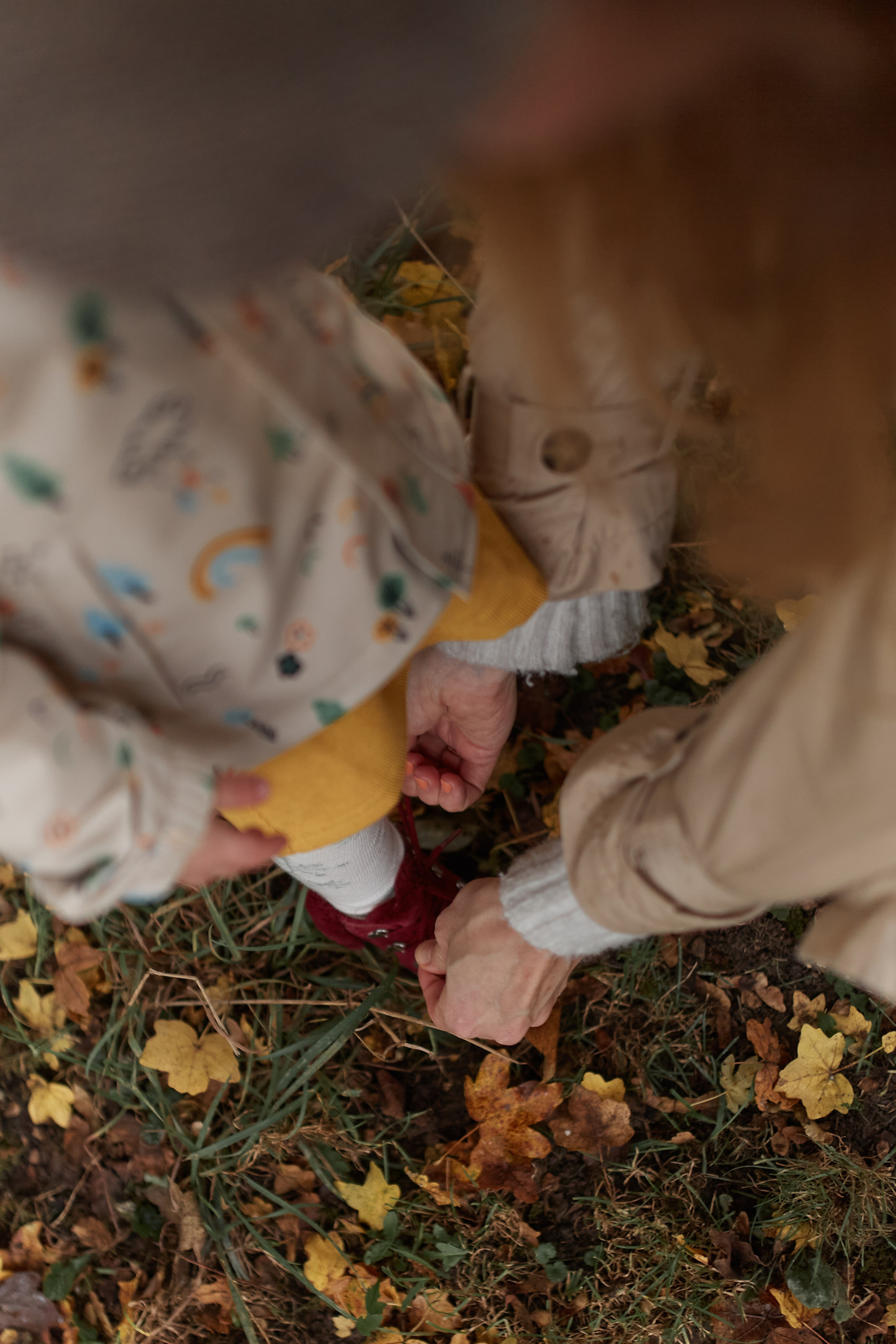 Осень в Цюрихе. Ваш душевный фотограф