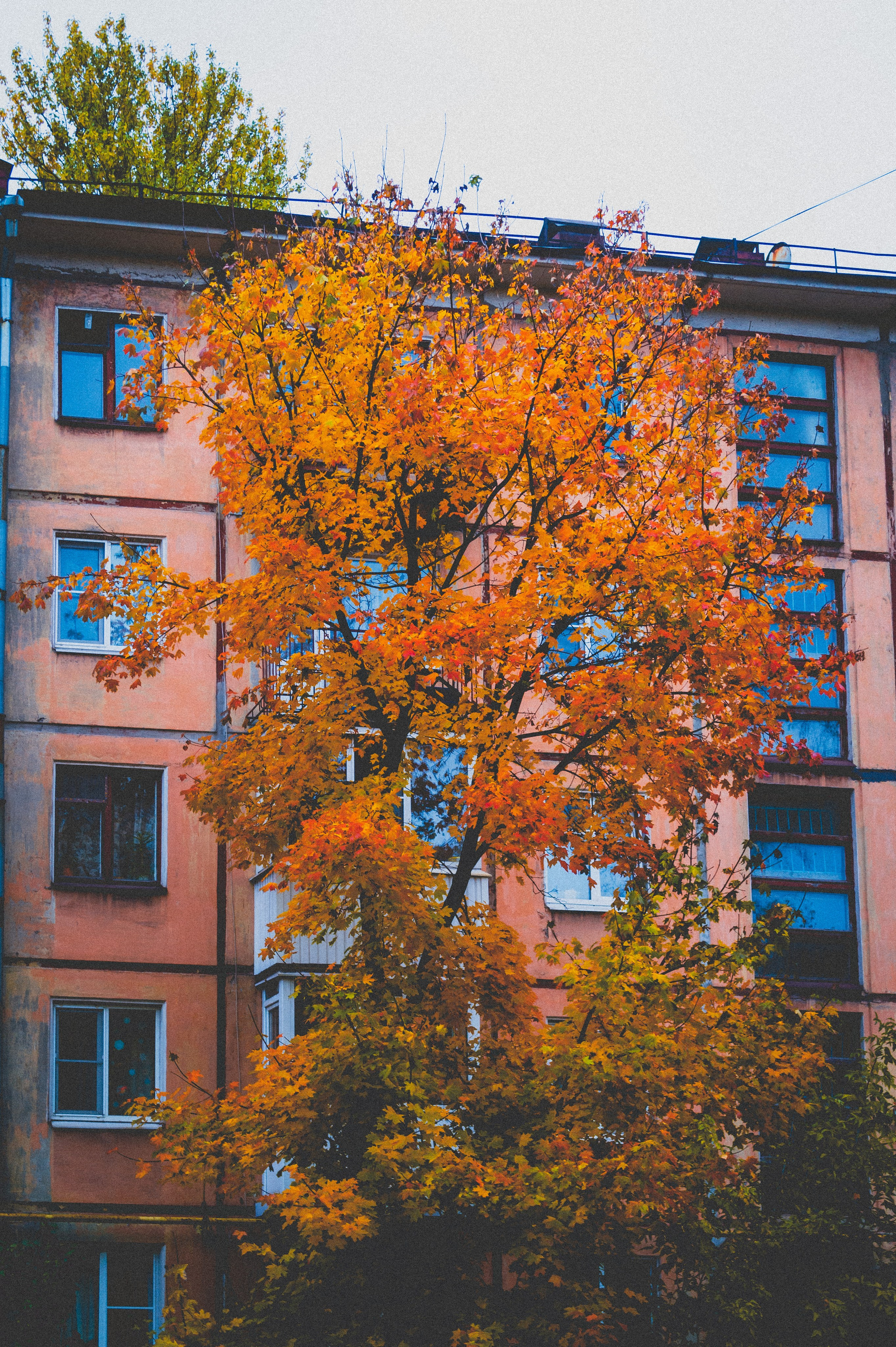 Октябрь 2025. Den Mirov — Фотограф, Музыкант