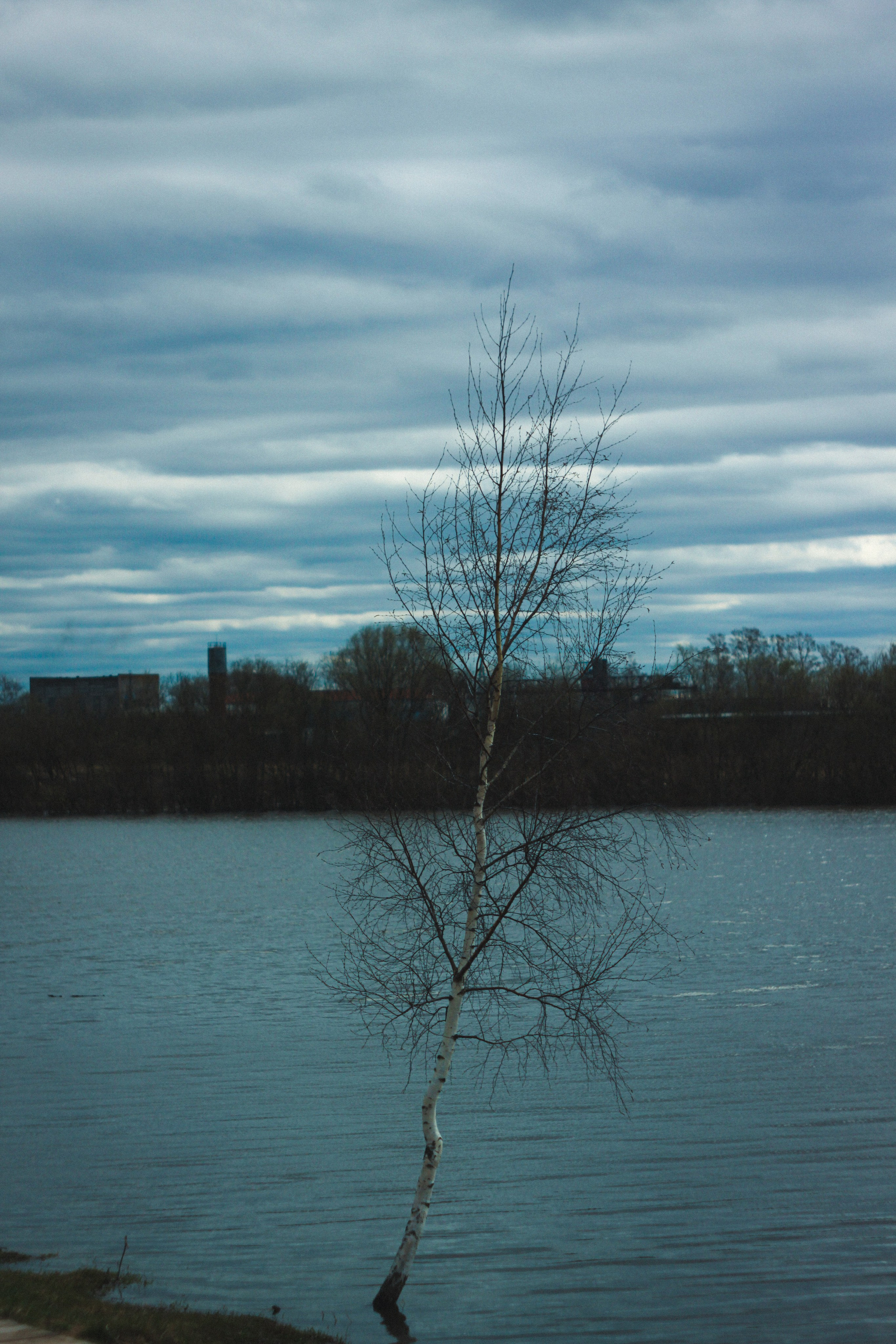 Градус смелости. Den Mirov — Фотограф, Музыкант