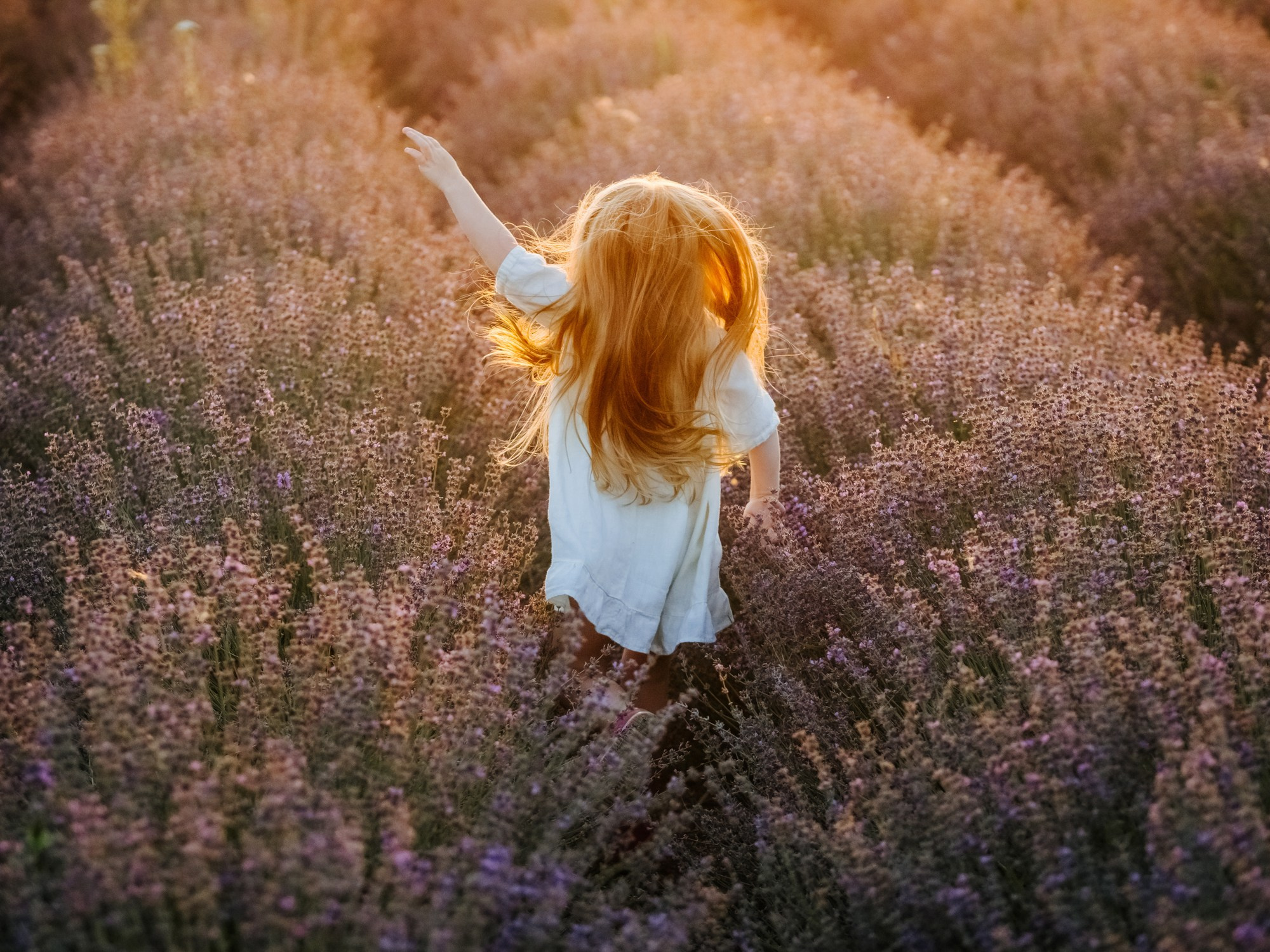 Лаванда. Семейный, детский, свадебный, фотограф в городе Анапа