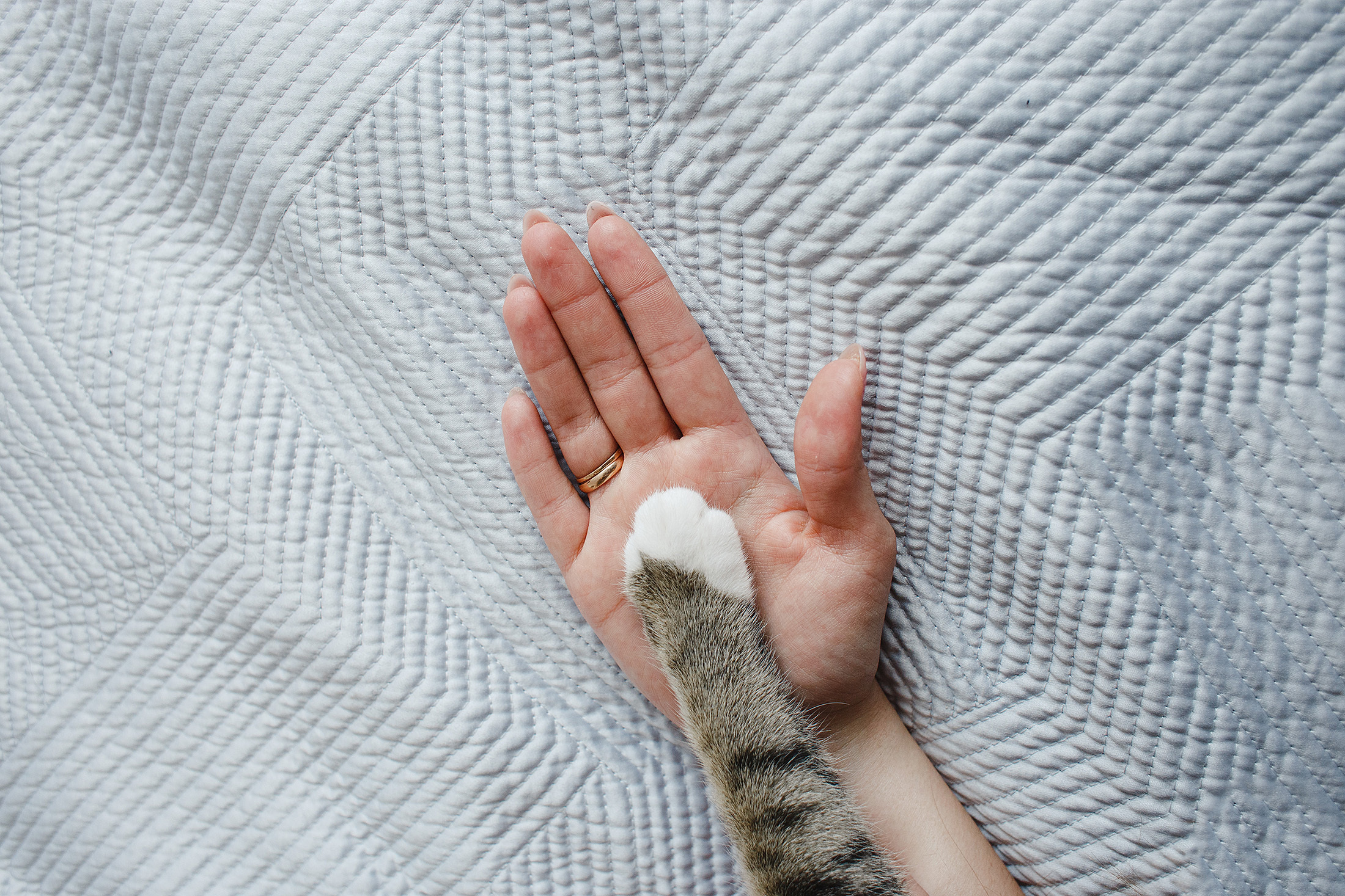 Яна. Фотограф Фототерапевт Минск