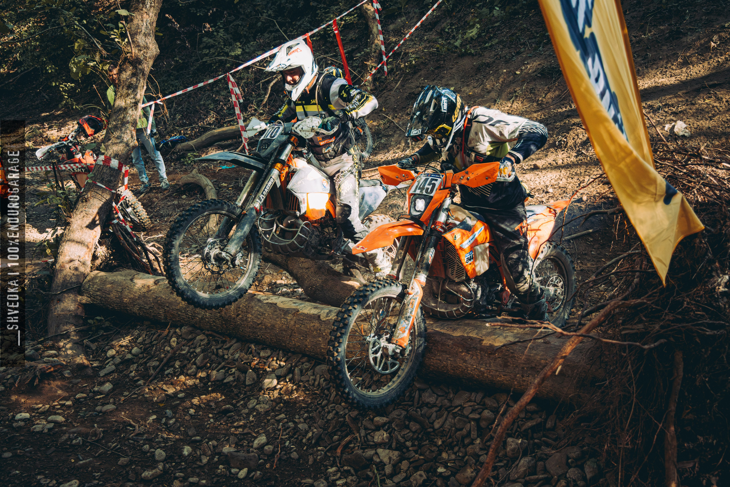 2 лесной день. Ваш экстрим фотограф Кудрева Яна