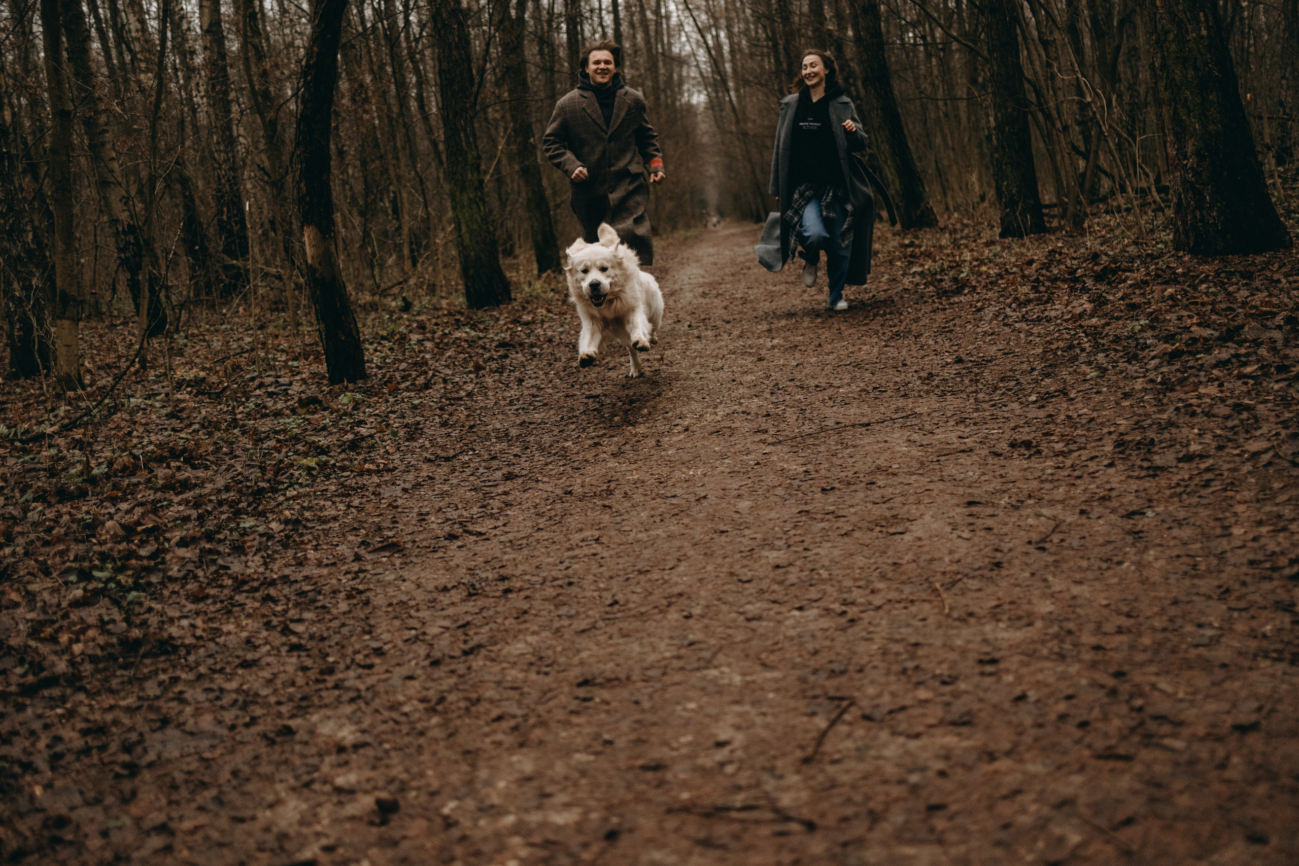 Лаки и его семья. Фотограф — Анималист | Санкт-Петербург