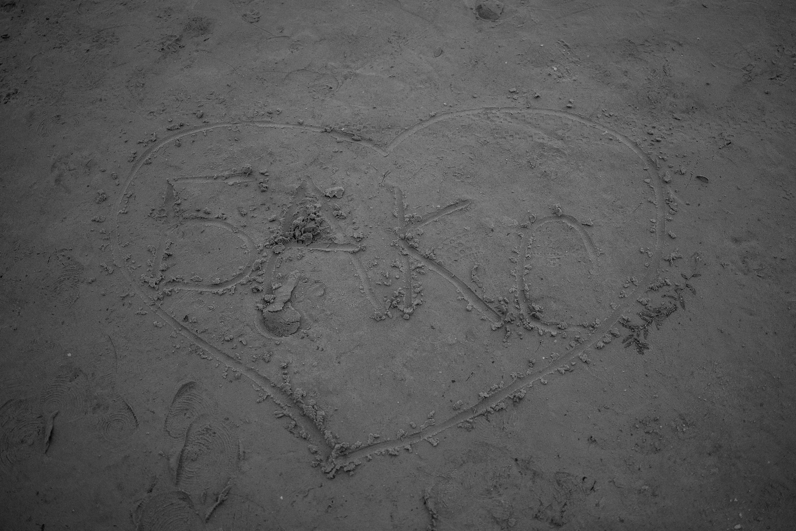 Лиза и Бакс. Фотограф — Анималист | Санкт-Петербург