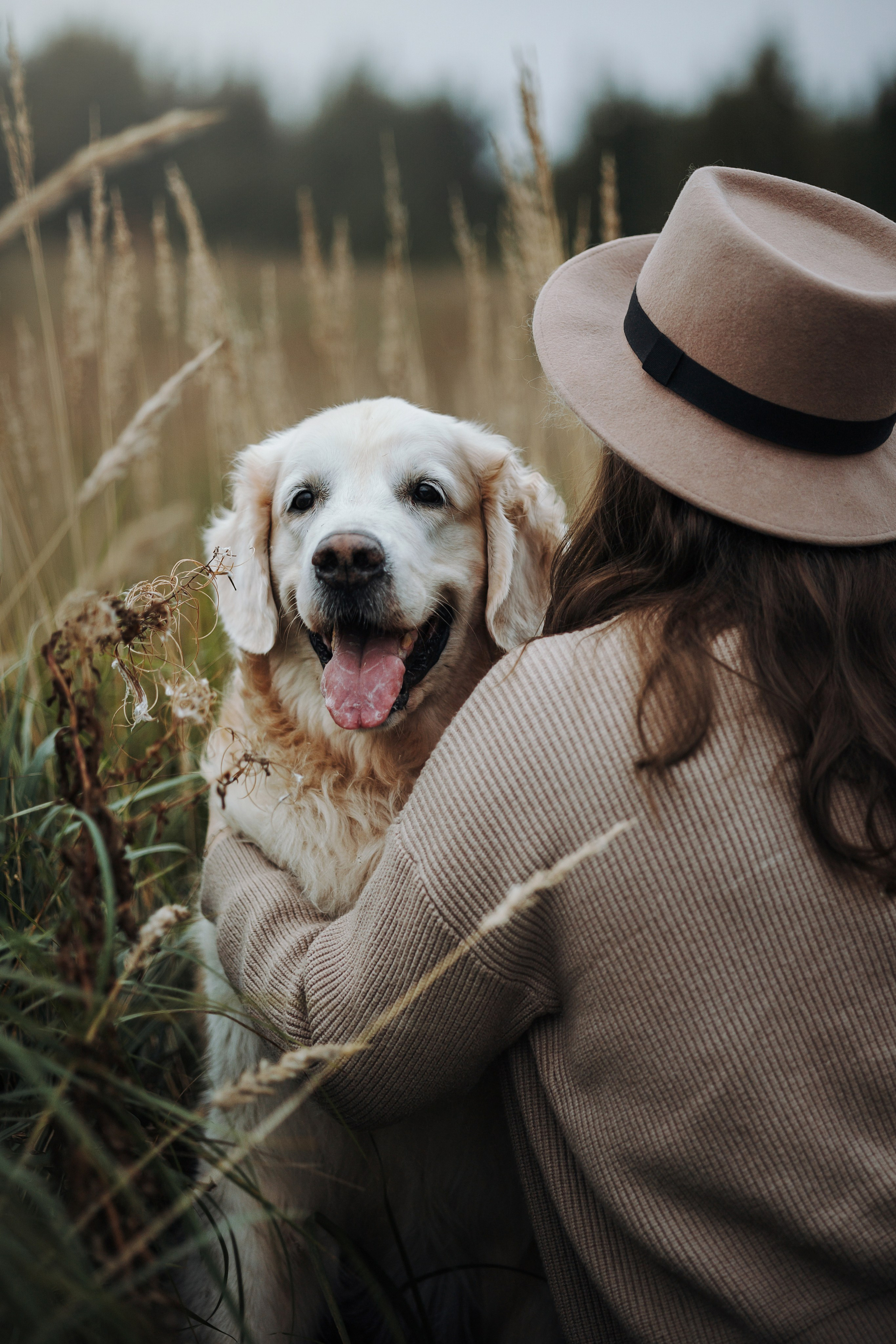 Света и Том. Фотограф — Анималист | Санкт-Петербург