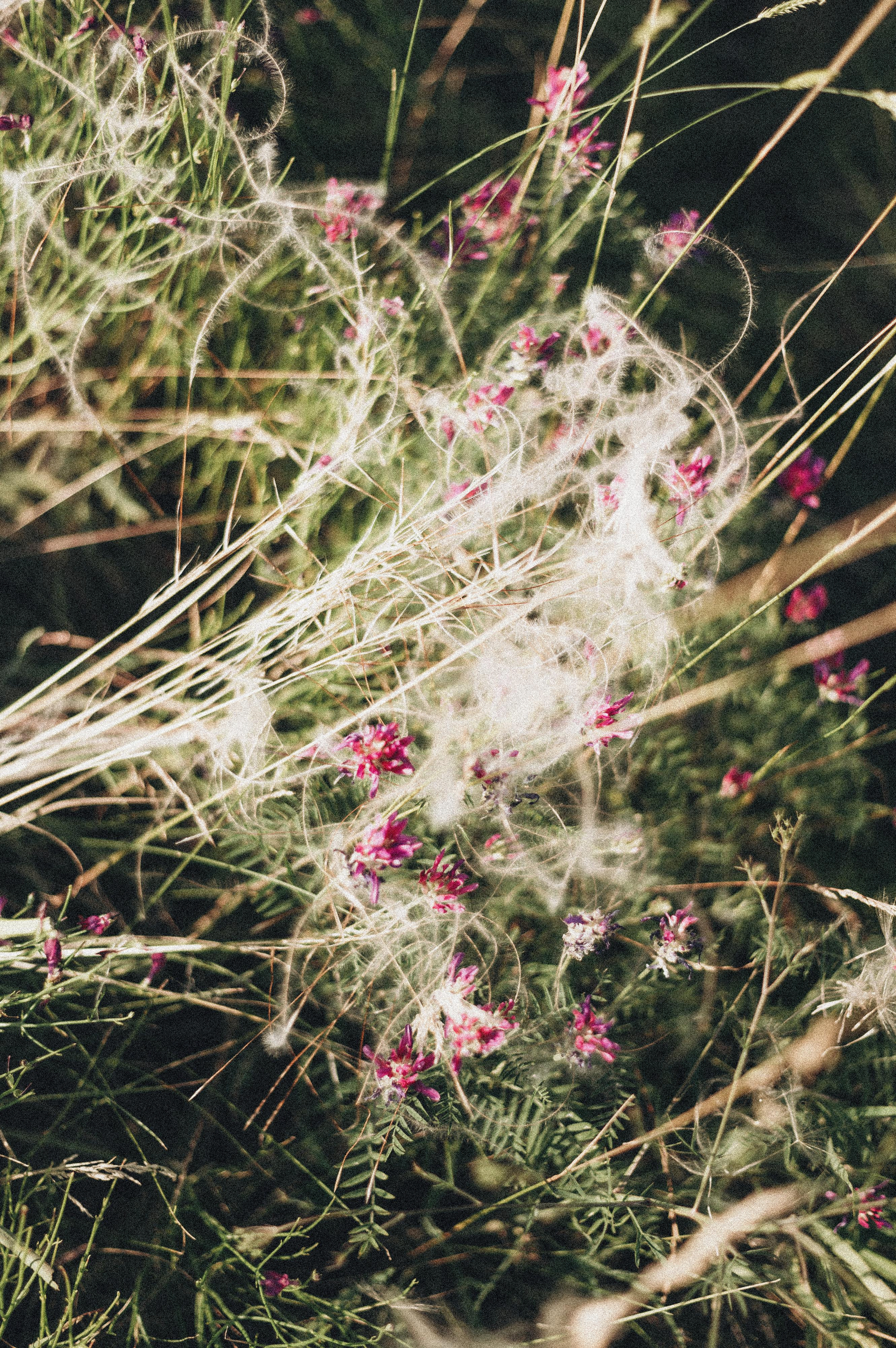 Nati. Фотограф в Саратове Анастасия Гладина