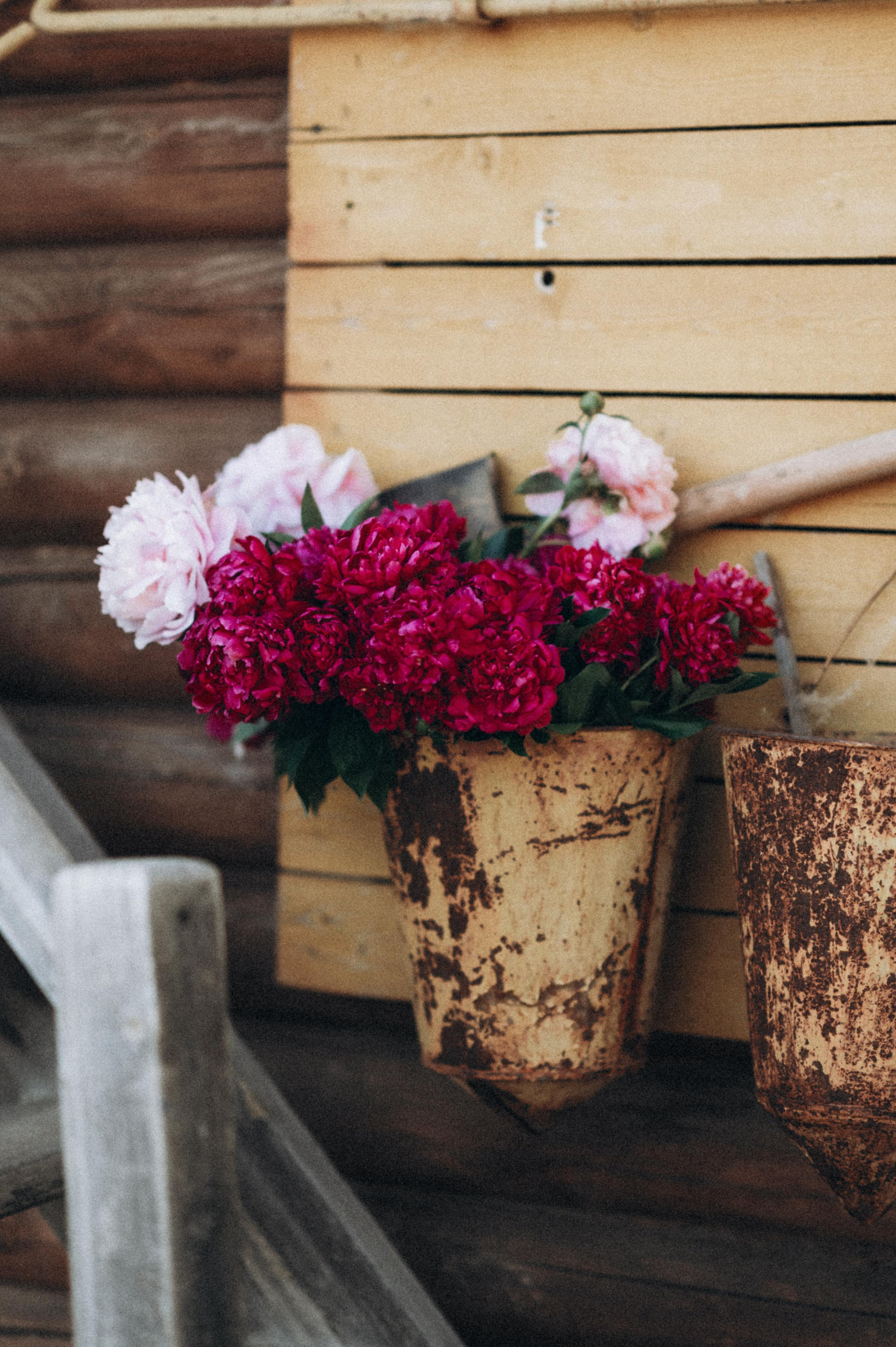 Nati. Фотограф в Саратове Анастасия Гладина