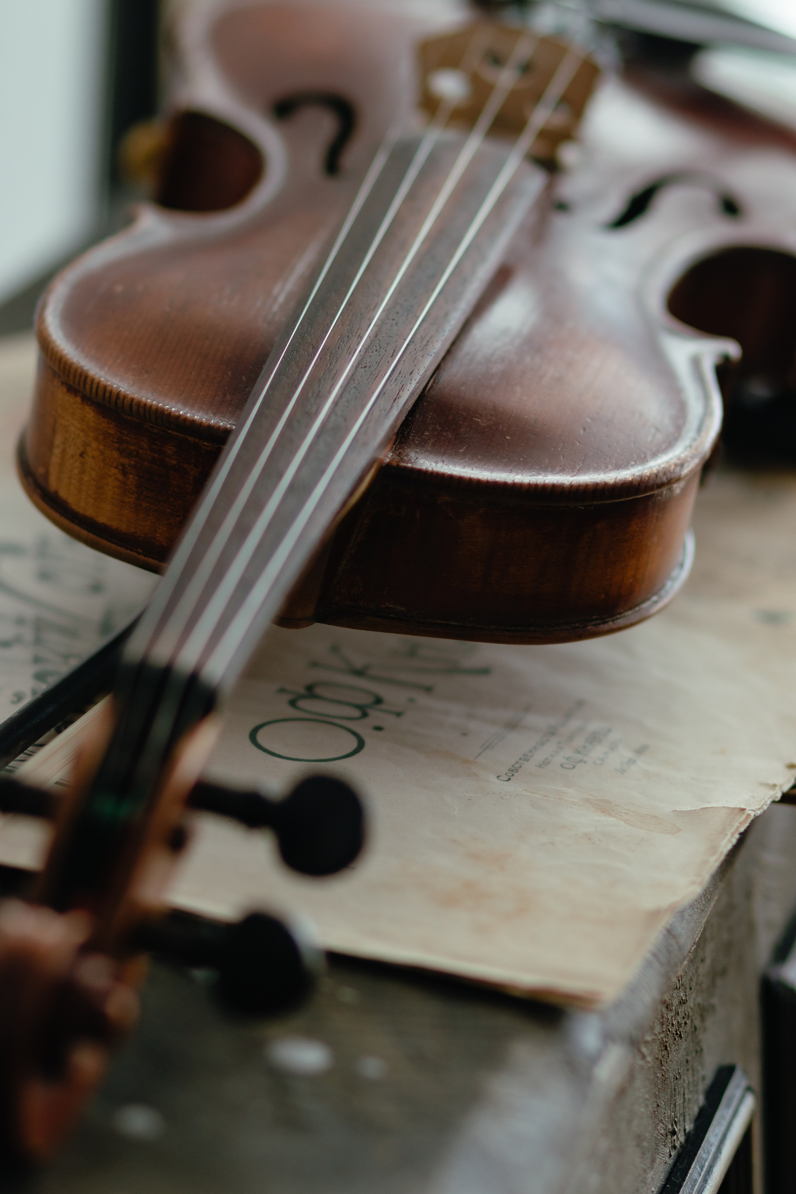 Трио Fiesta. Фотограф Екатерина Советкина Самара